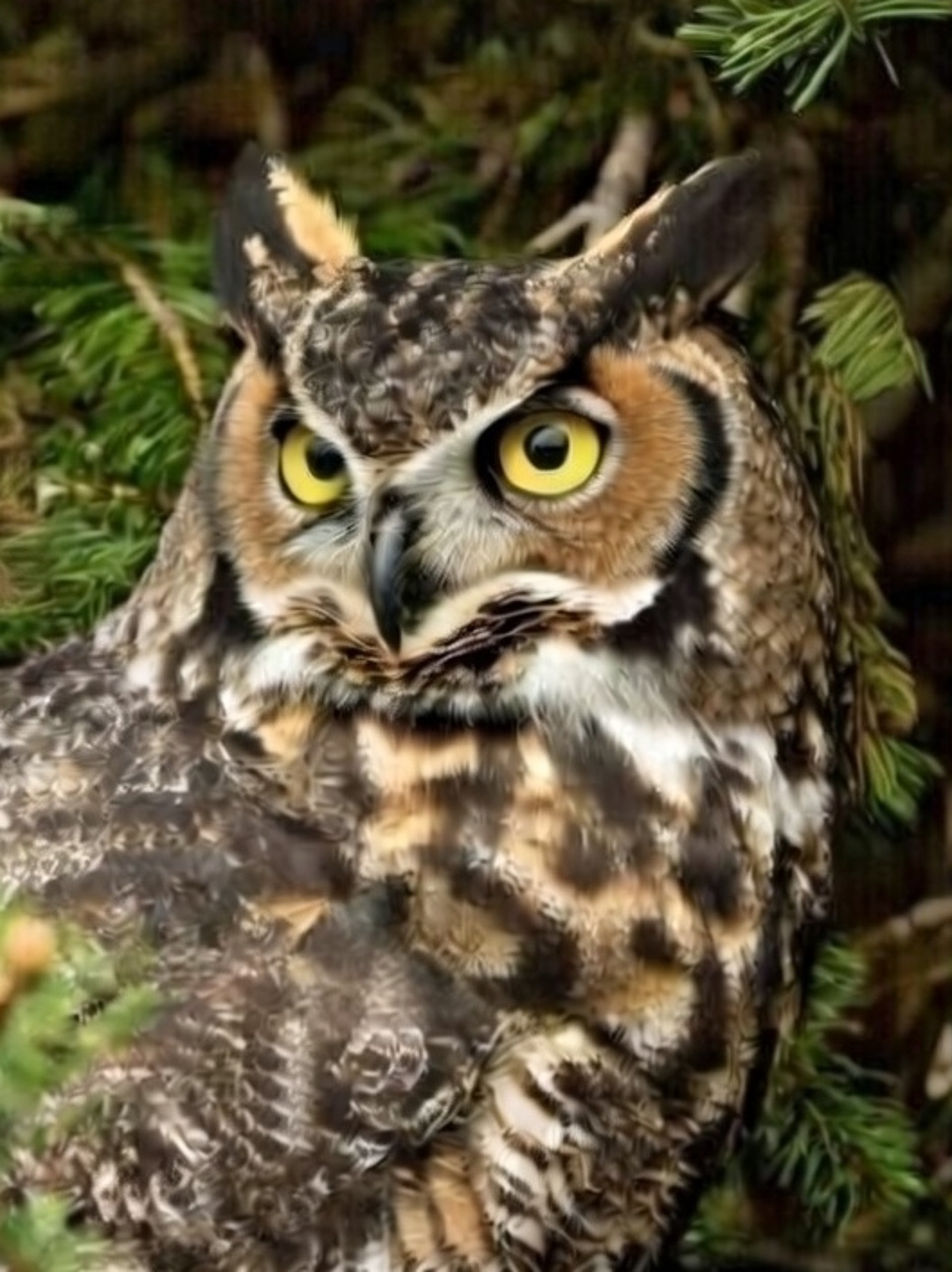 black and white bed linen