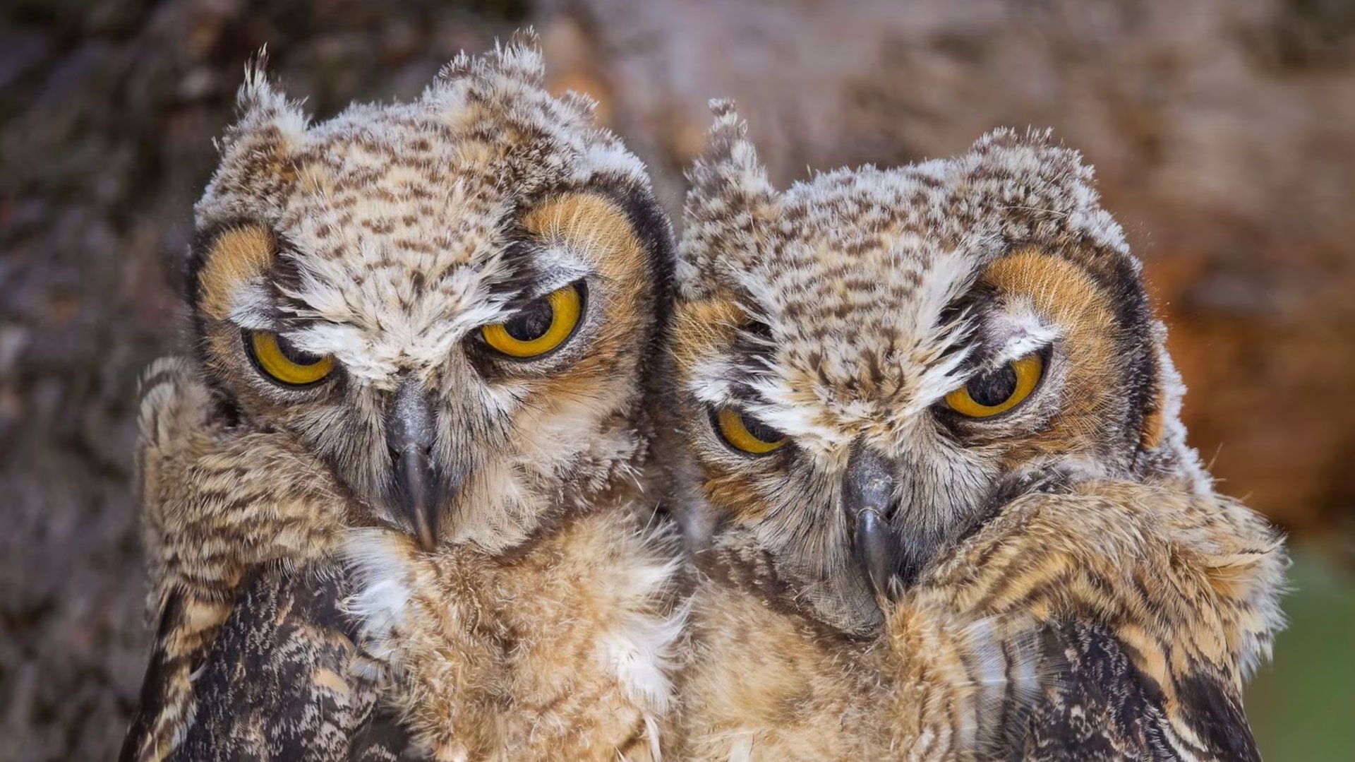 woman wearing yellow long-sleeved dress under white clouds and blue sky during daytime