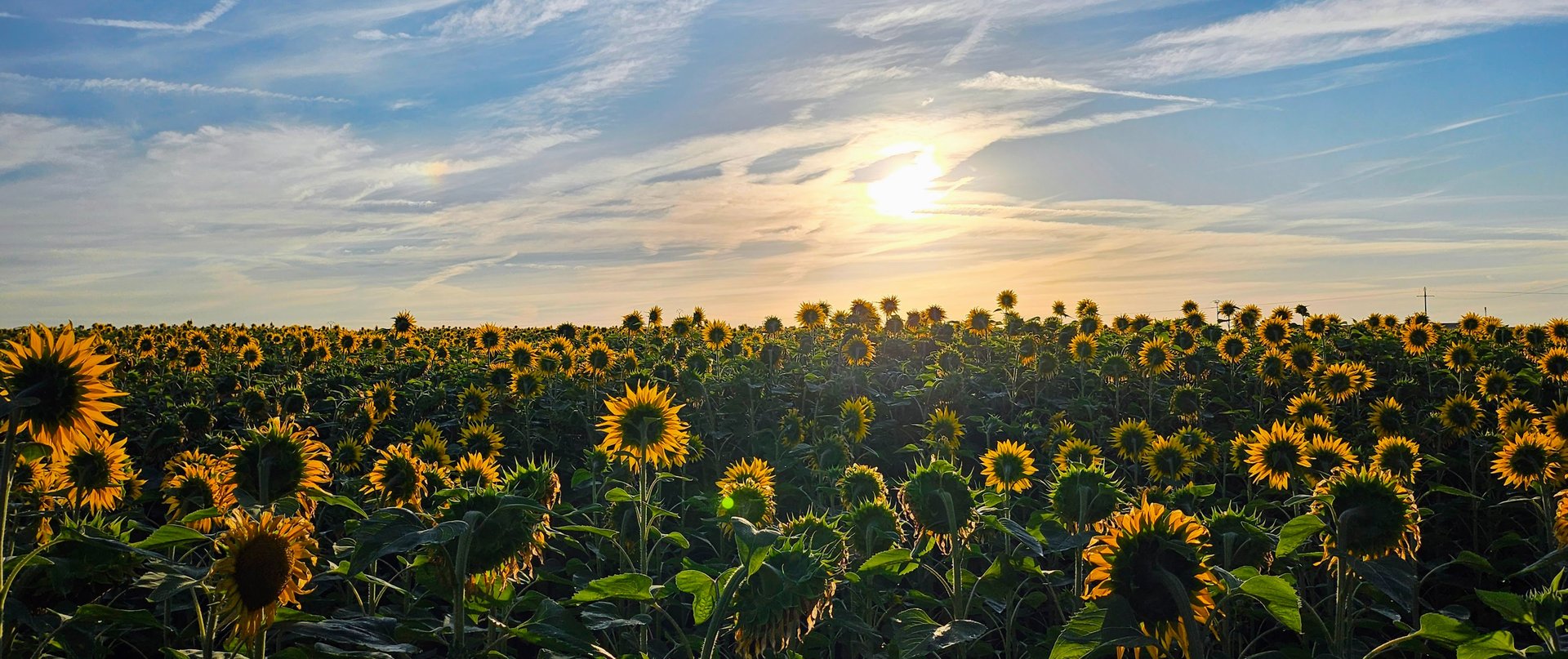 gray computer monitor