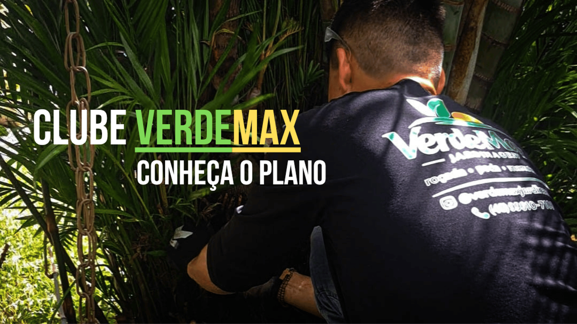 pink and red rose field