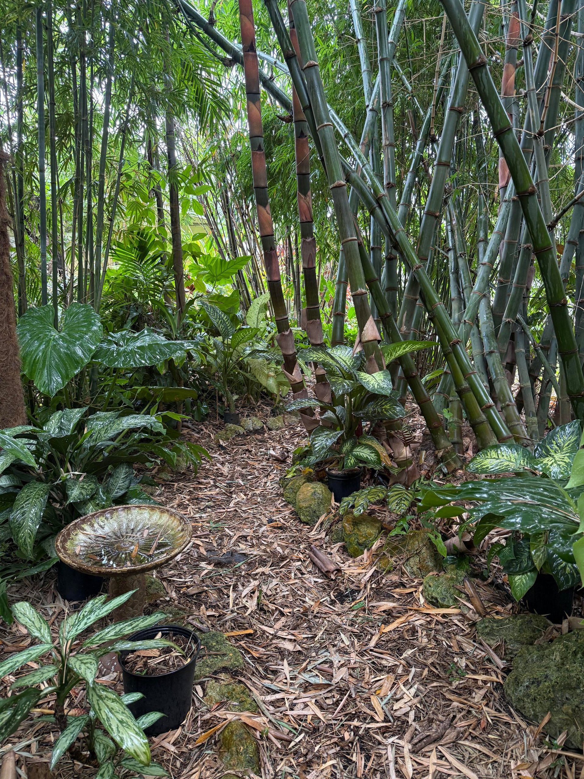 person wearing grey knit sweater
