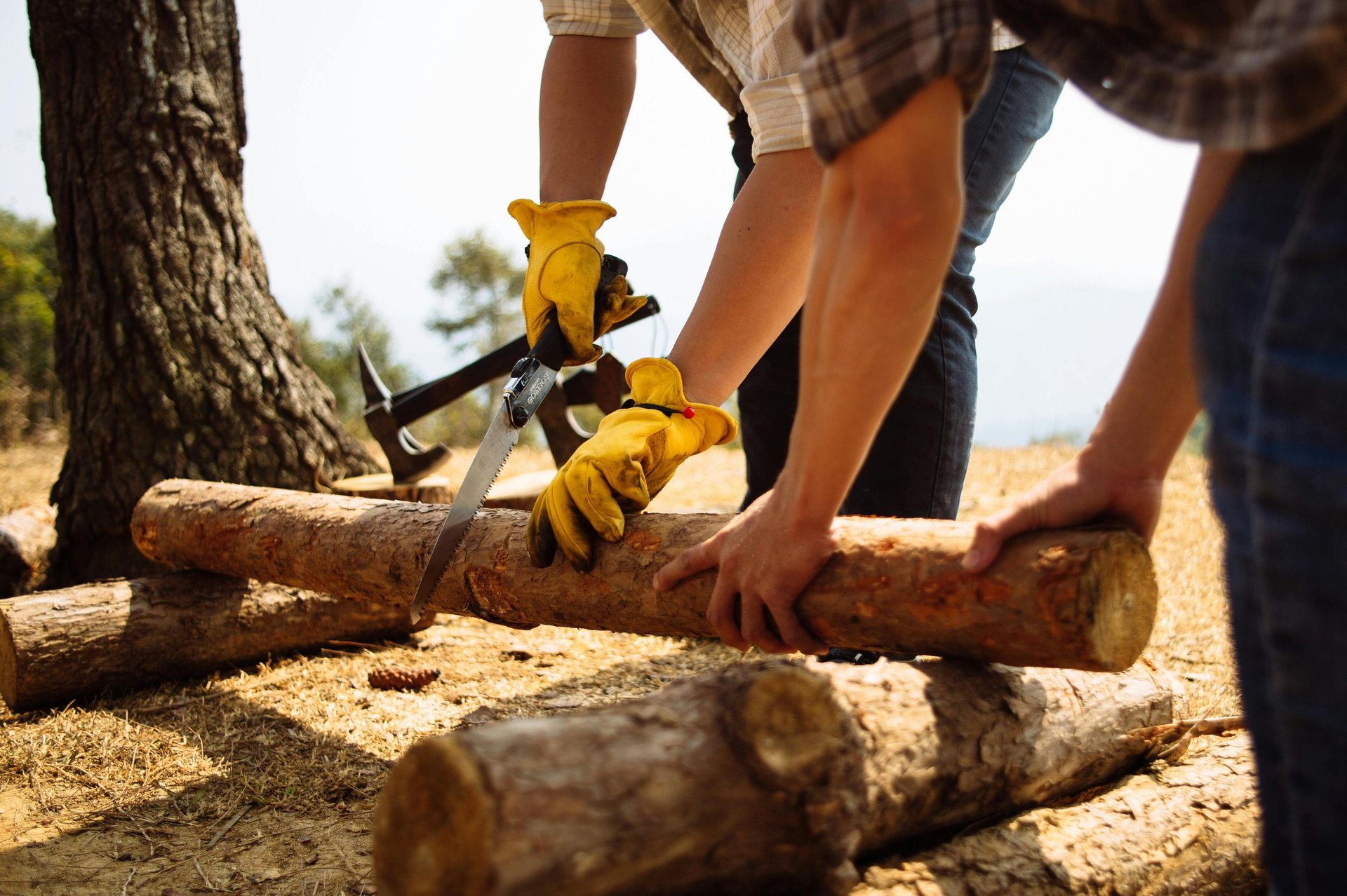 black blue and yellow textile