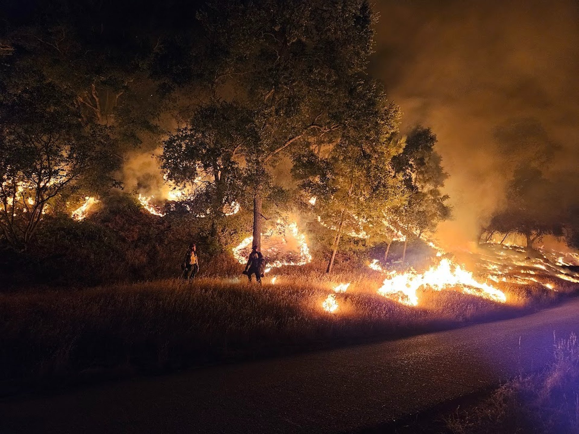 black and brown leather padded tub sofa