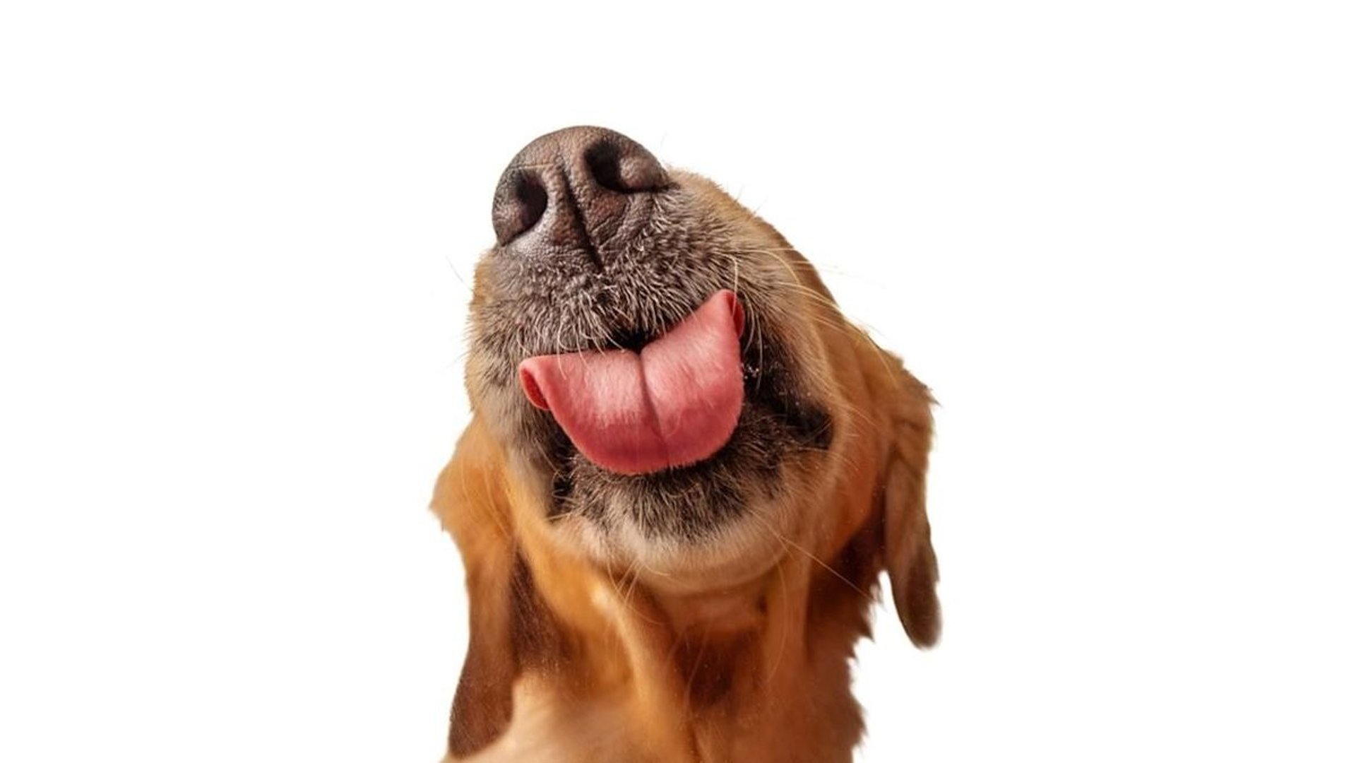 woman wearing yellow long-sleeved dress under white clouds and blue sky during daytime