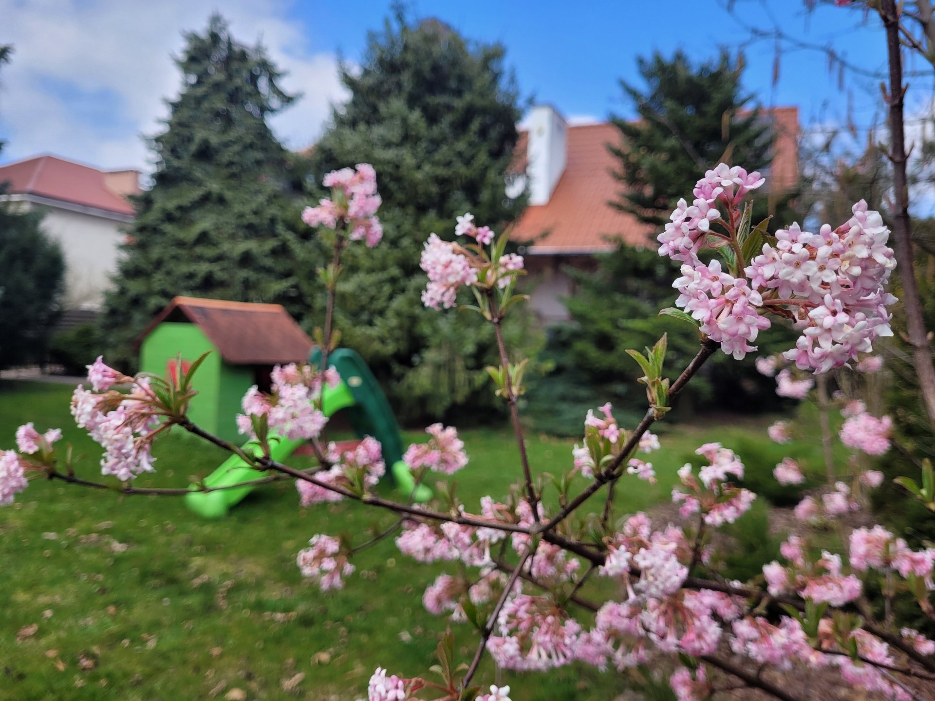 gray computer monitor