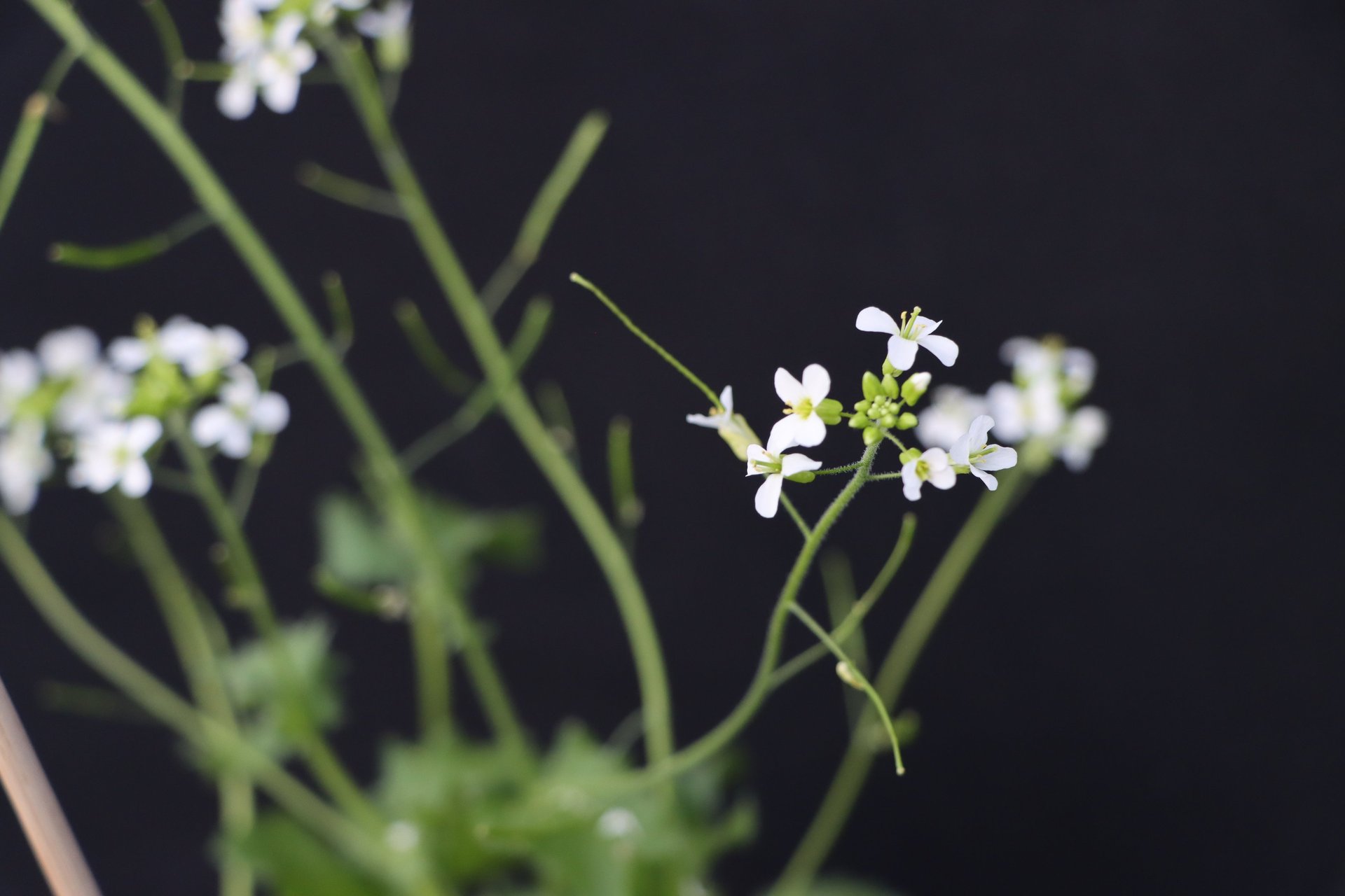 black blue and yellow textile