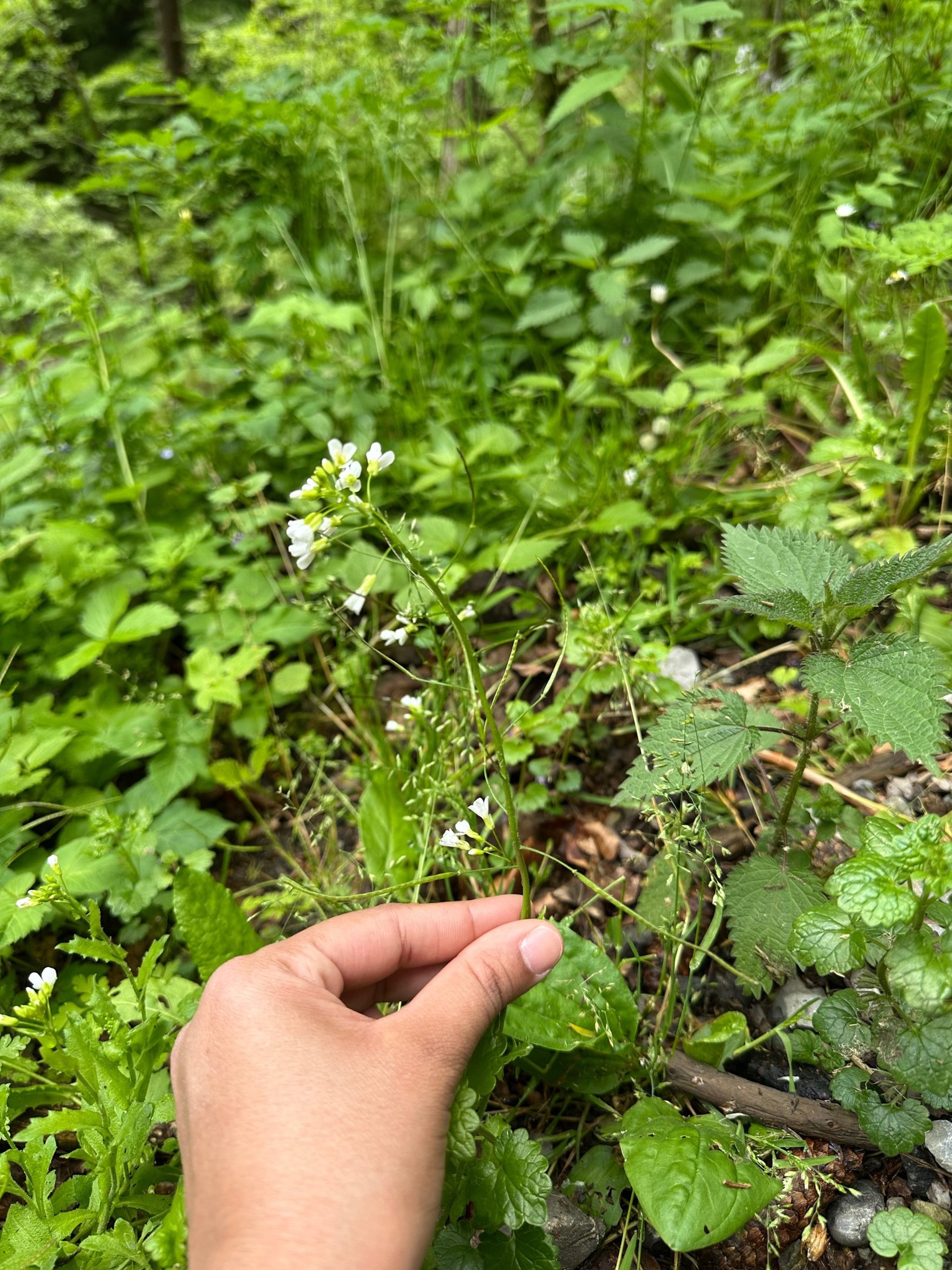 black and white bed linen