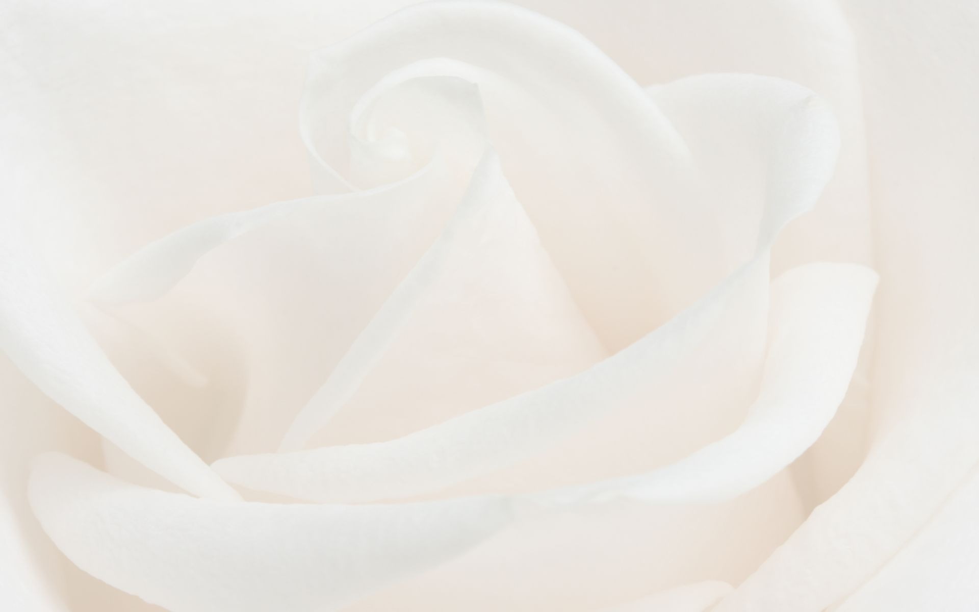 Femme méditant, observant la Terre depuis une perspective élevée, entourée de montgolfières symbolisant d'autres âmes