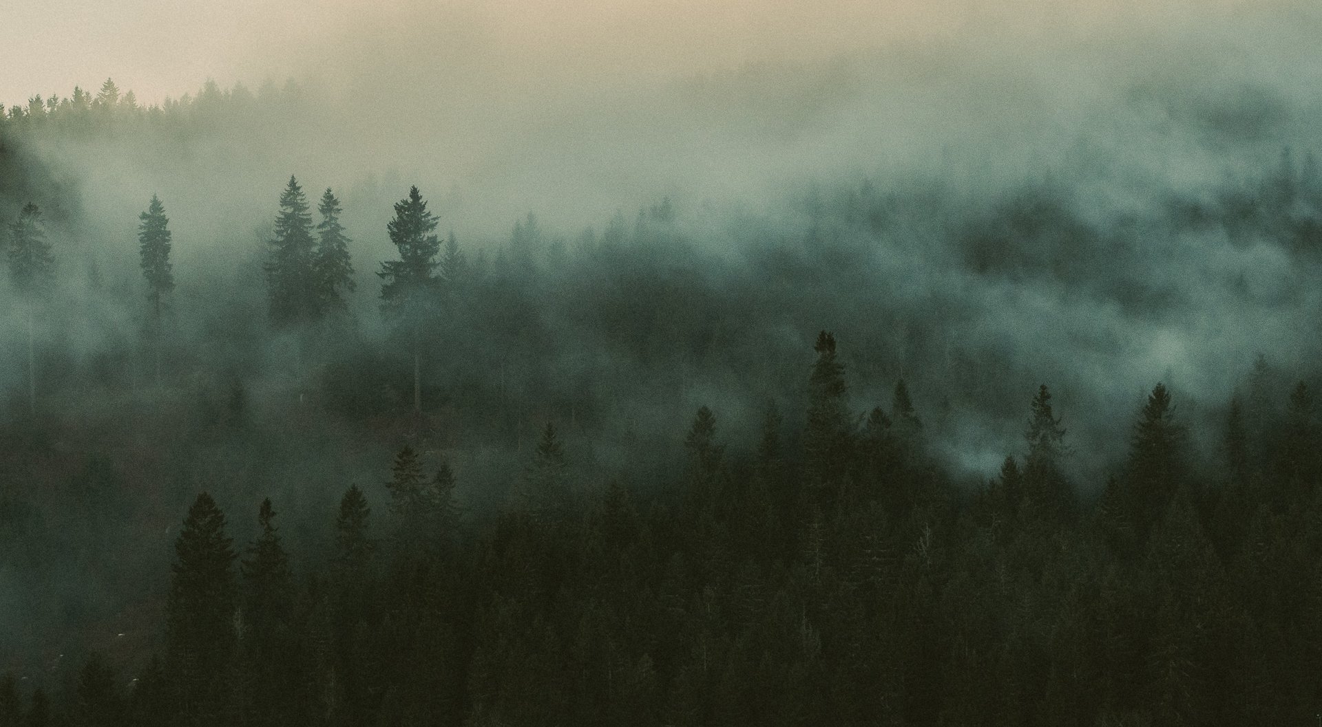a close up of a black and brown abstract painting