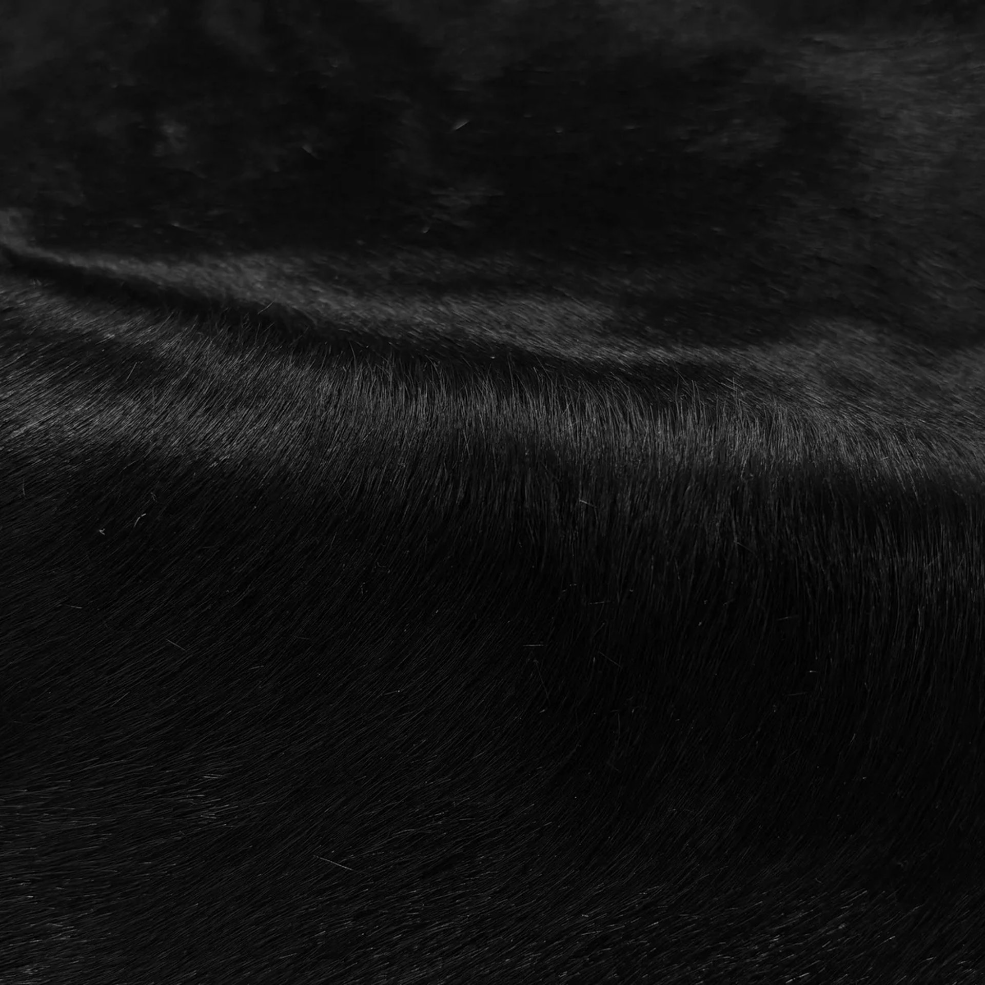 black and white bed linen