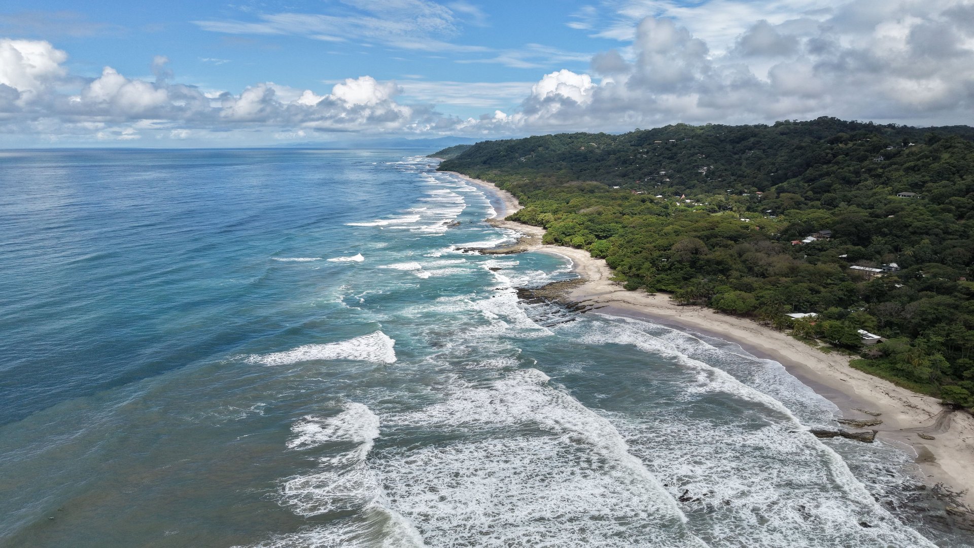 people on beach during daytime
