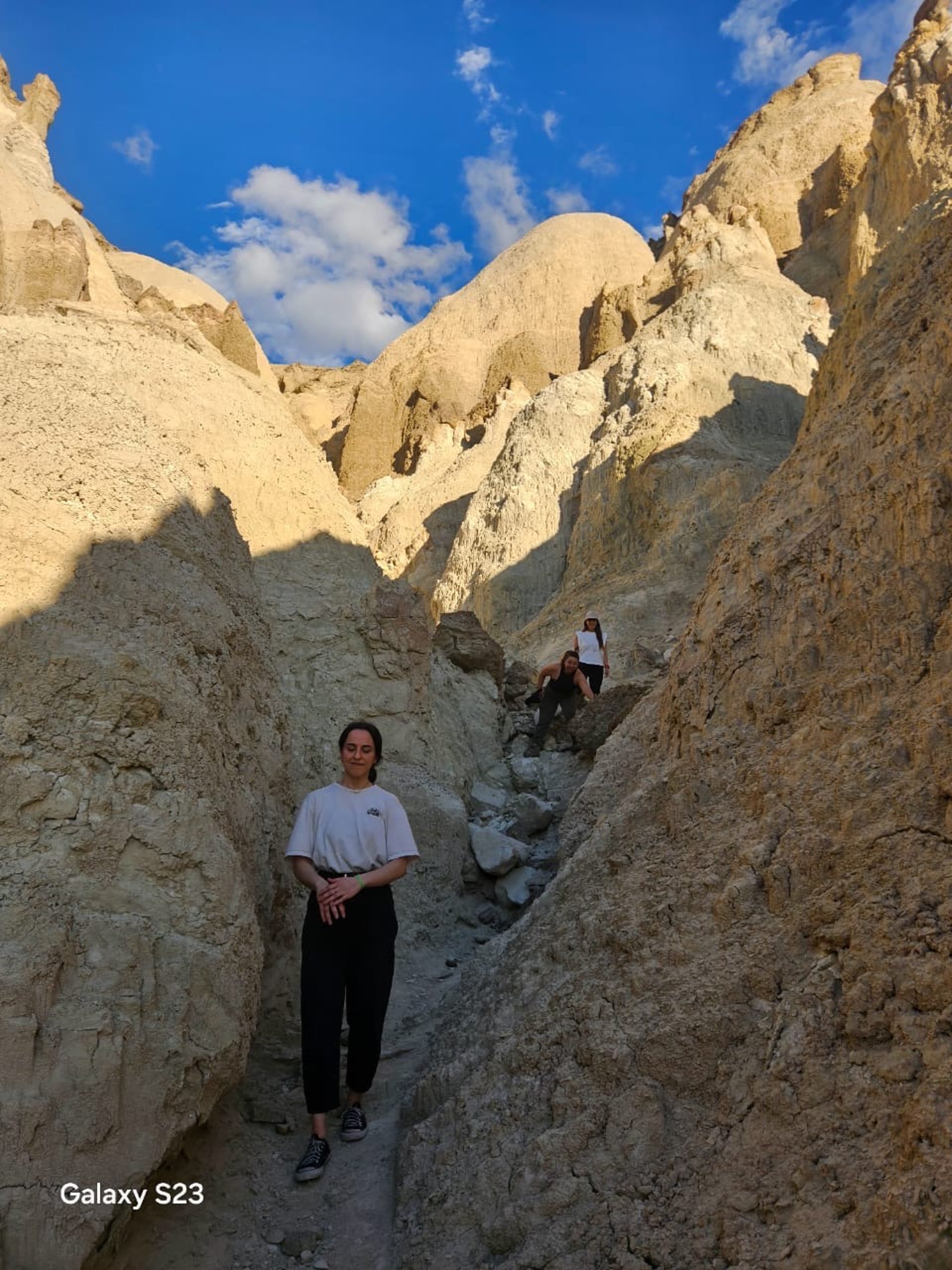 an abstract photo of a curved building with a blue sky in the background