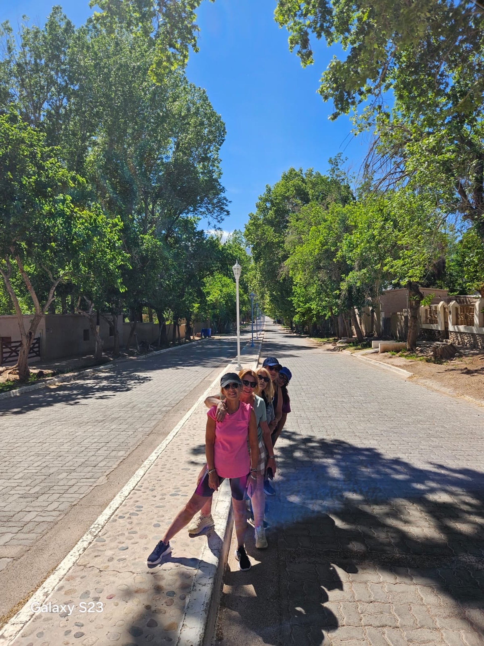 an abstract photo of a curved building with a blue sky in the background