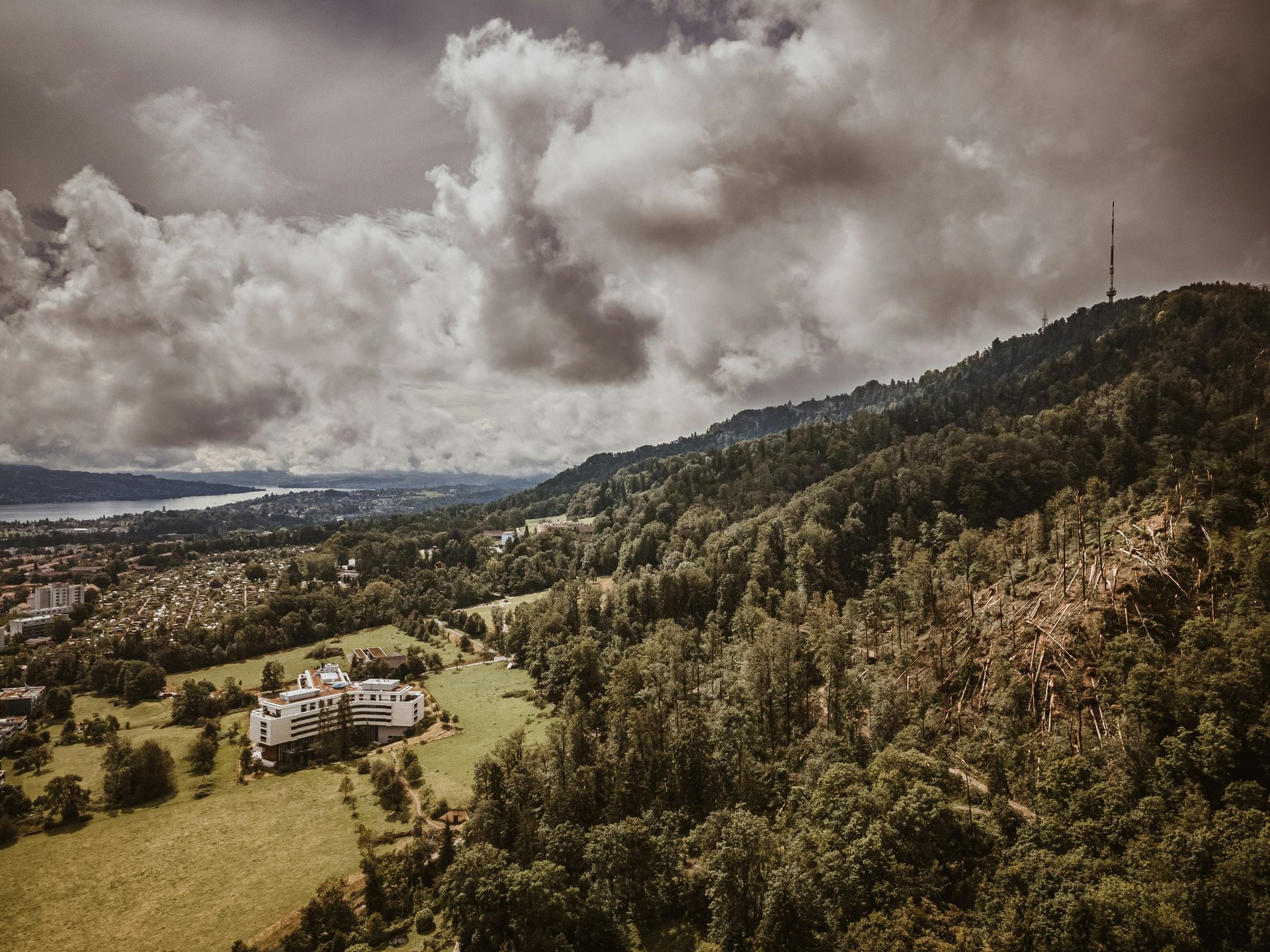 gray computer monitor