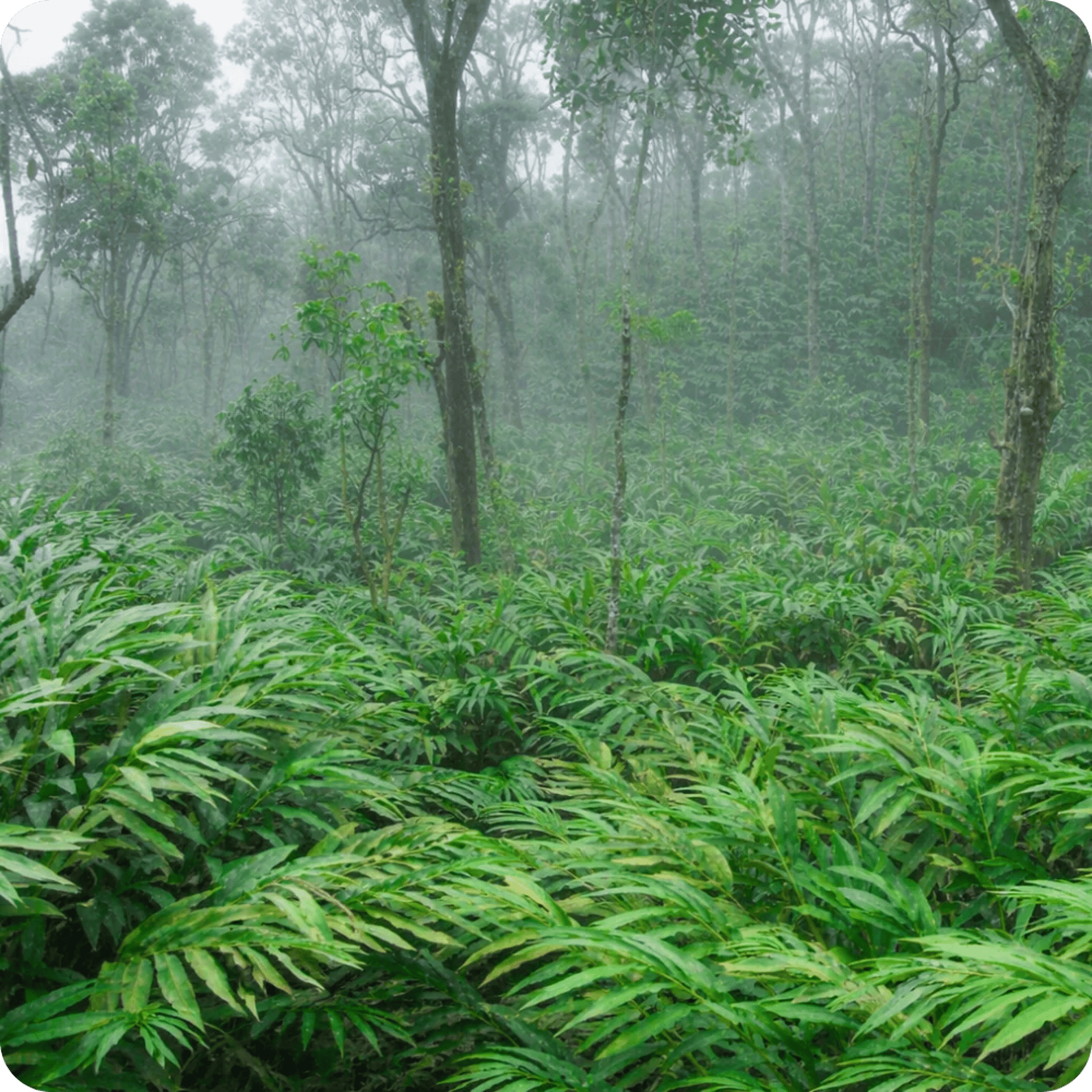 an abstract photo of a curved building with a blue sky in the background