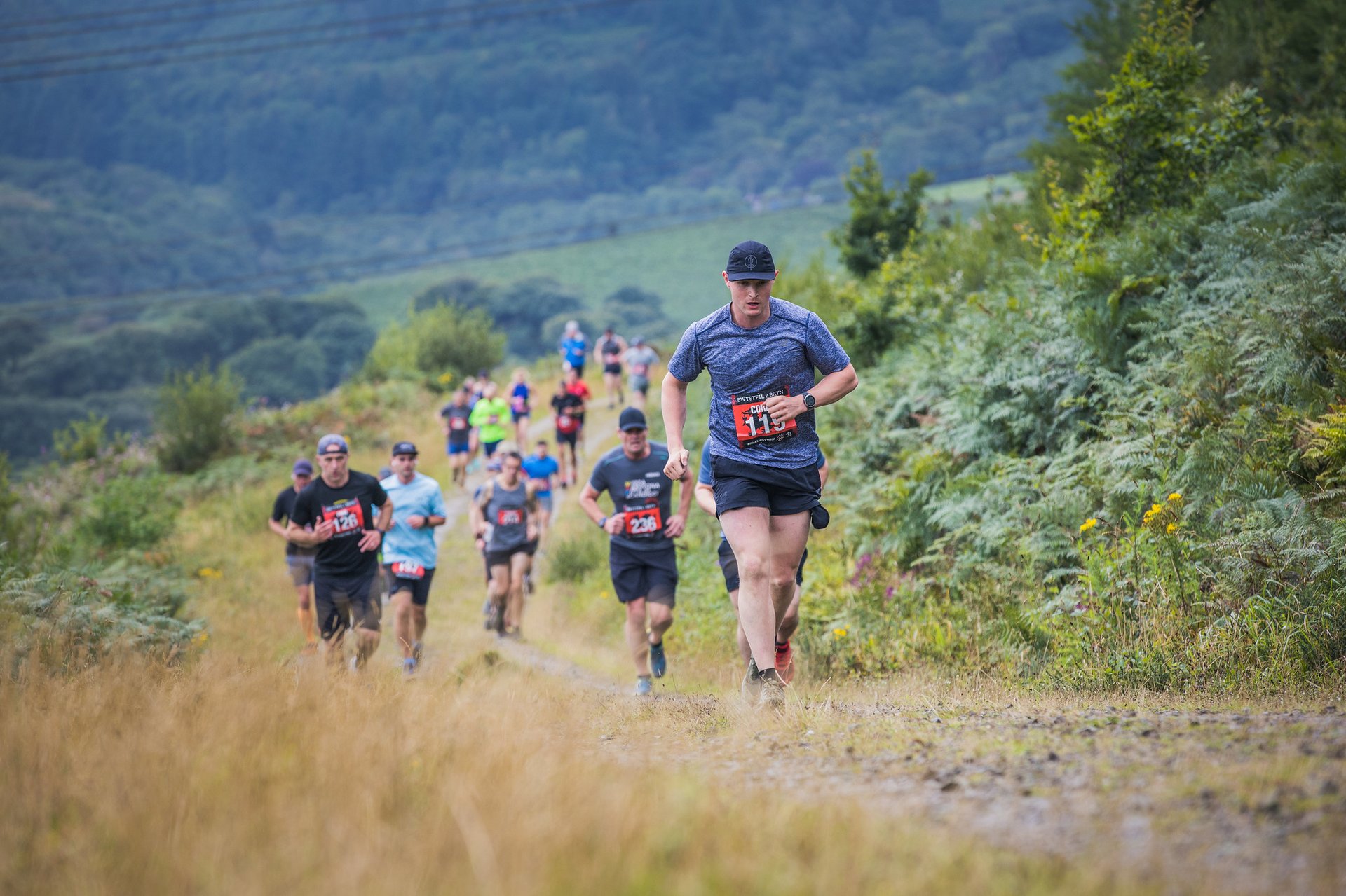 black blue and yellow textile