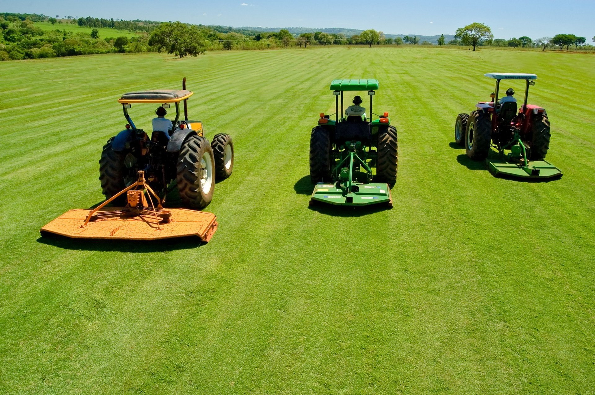 green grass field during daytime
