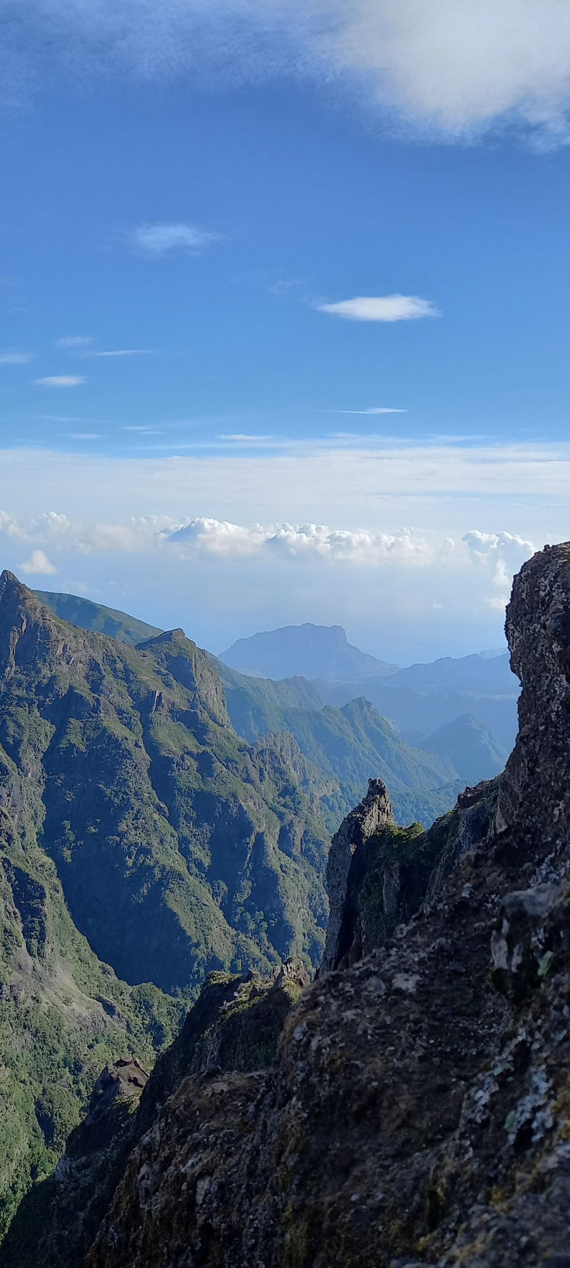 black and brown leather padded tub sofa