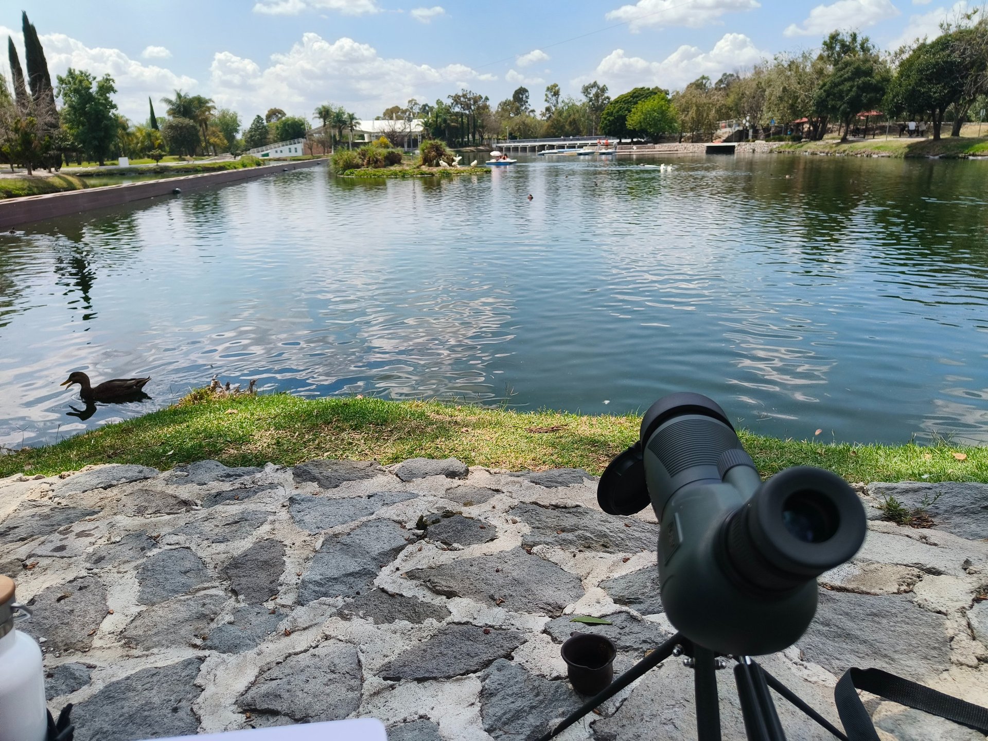 woman wearing yellow long-sleeved dress under white clouds and blue sky during daytime