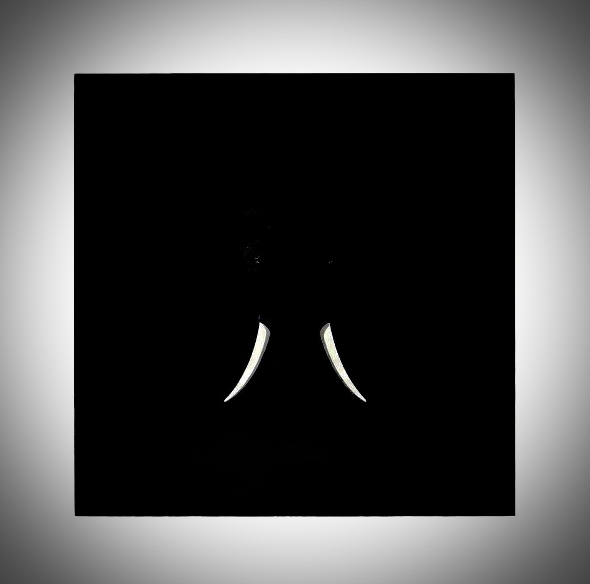 black and white bed linen