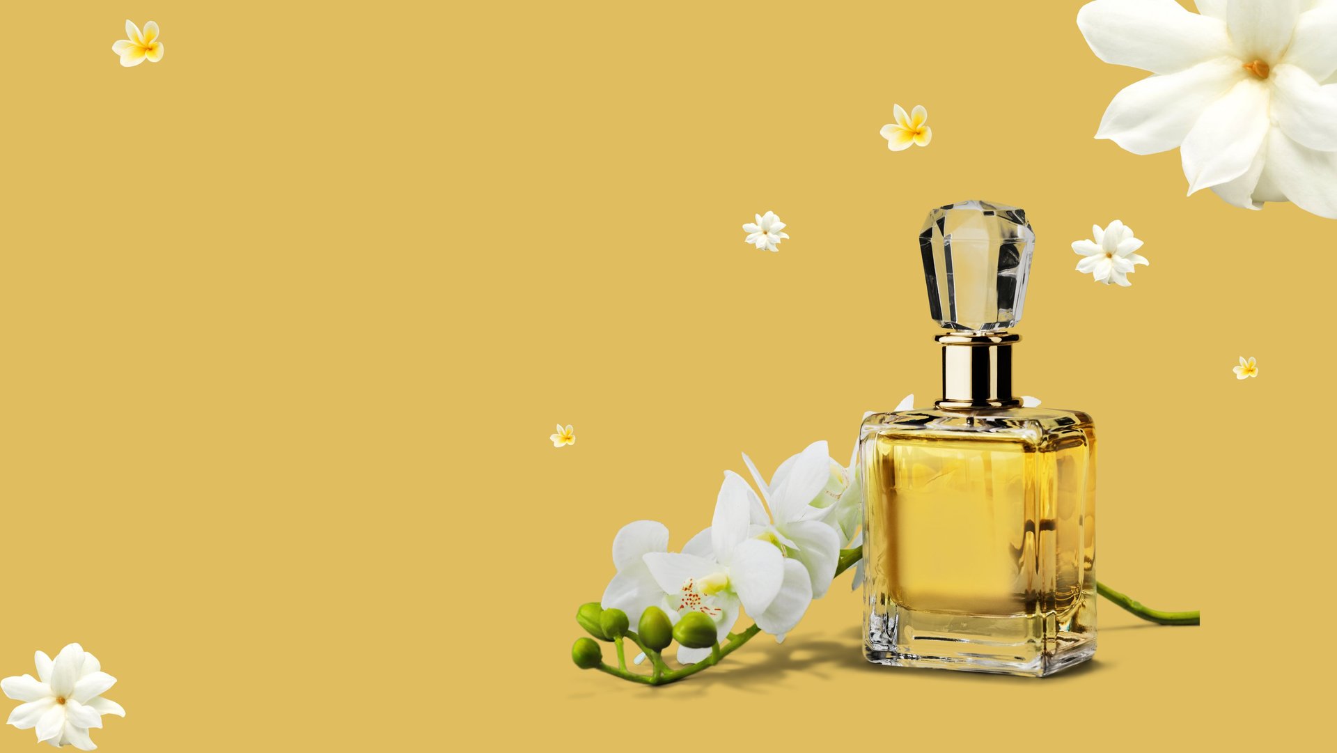 yellow sunflower field during daytime