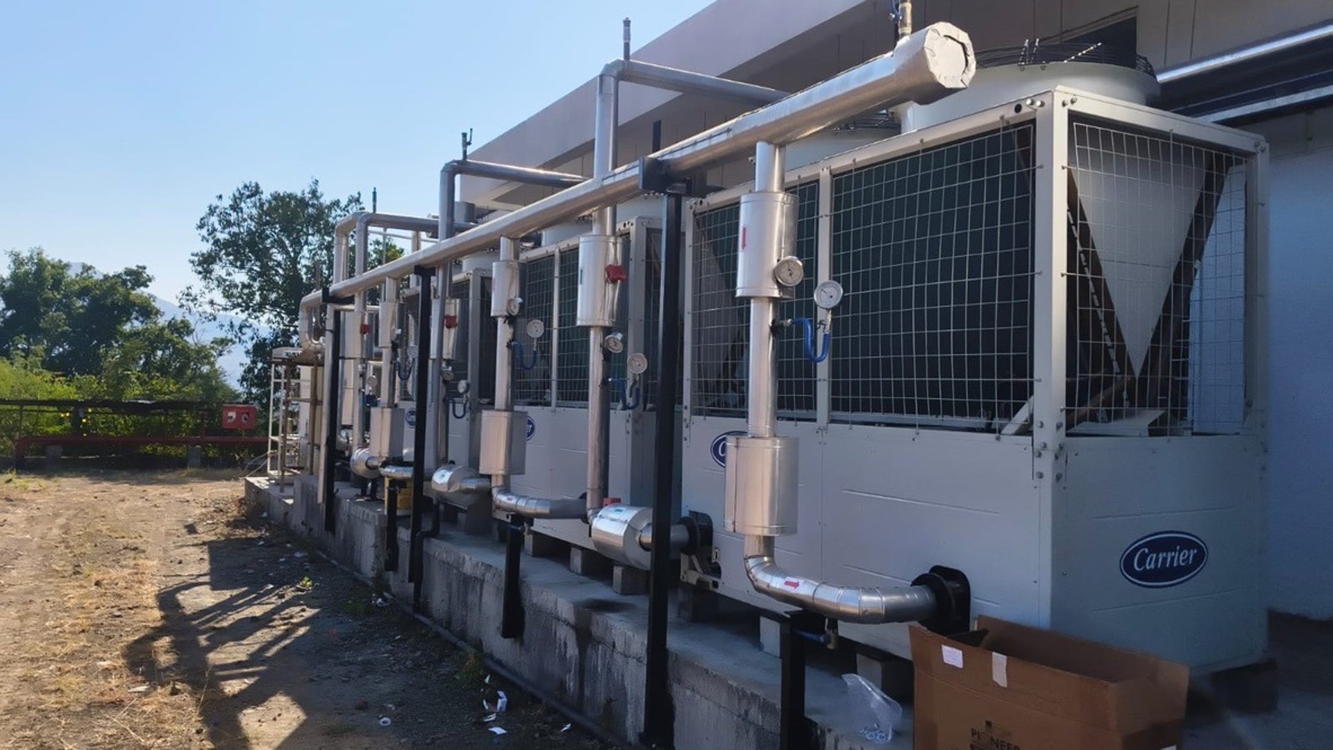 woman wearing yellow long-sleeved dress under white clouds and blue sky during daytime