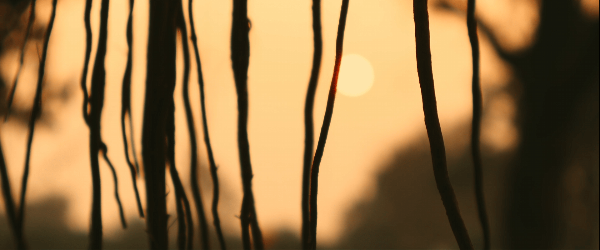 red blue and black abstract painting