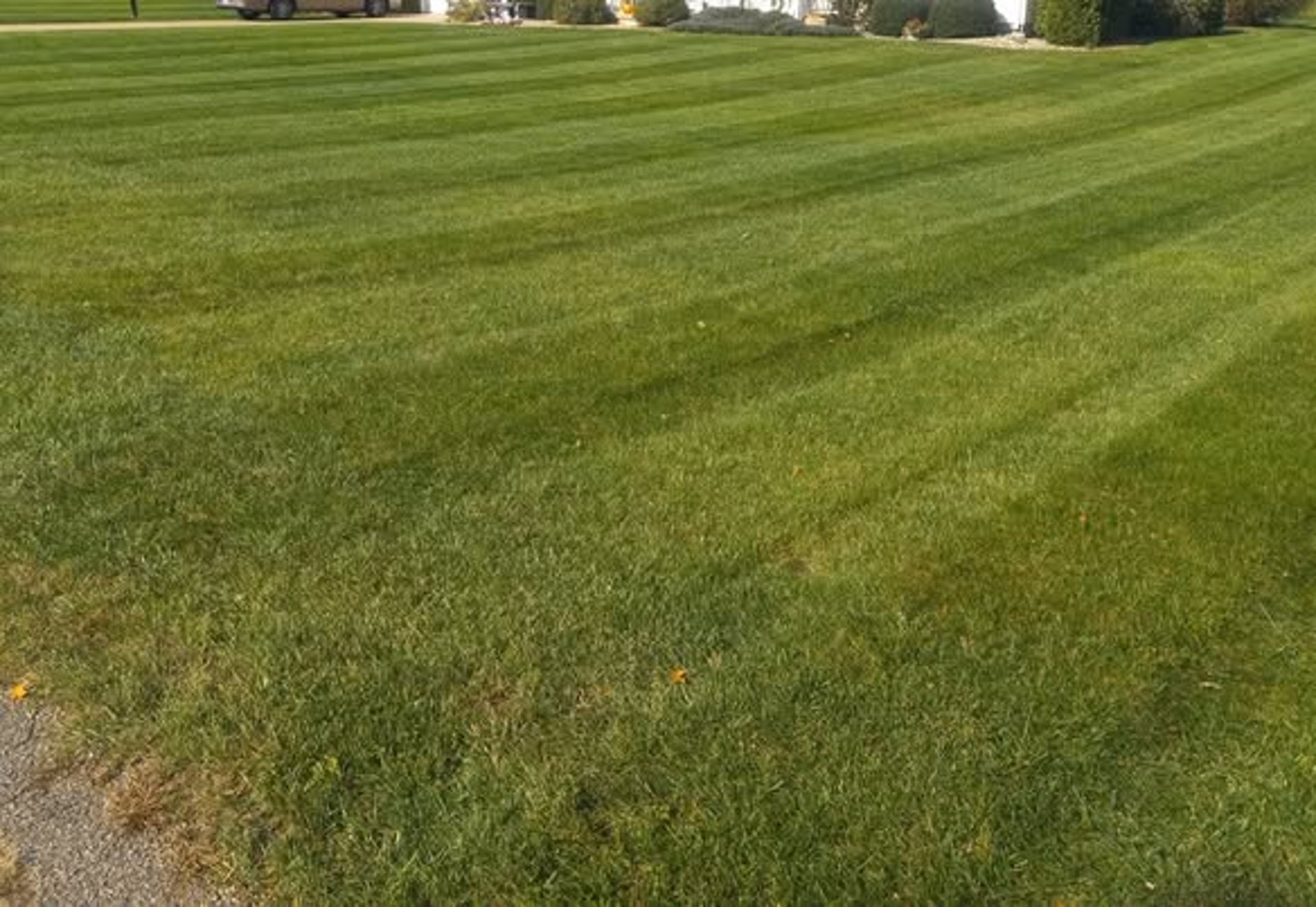 gray computer monitor