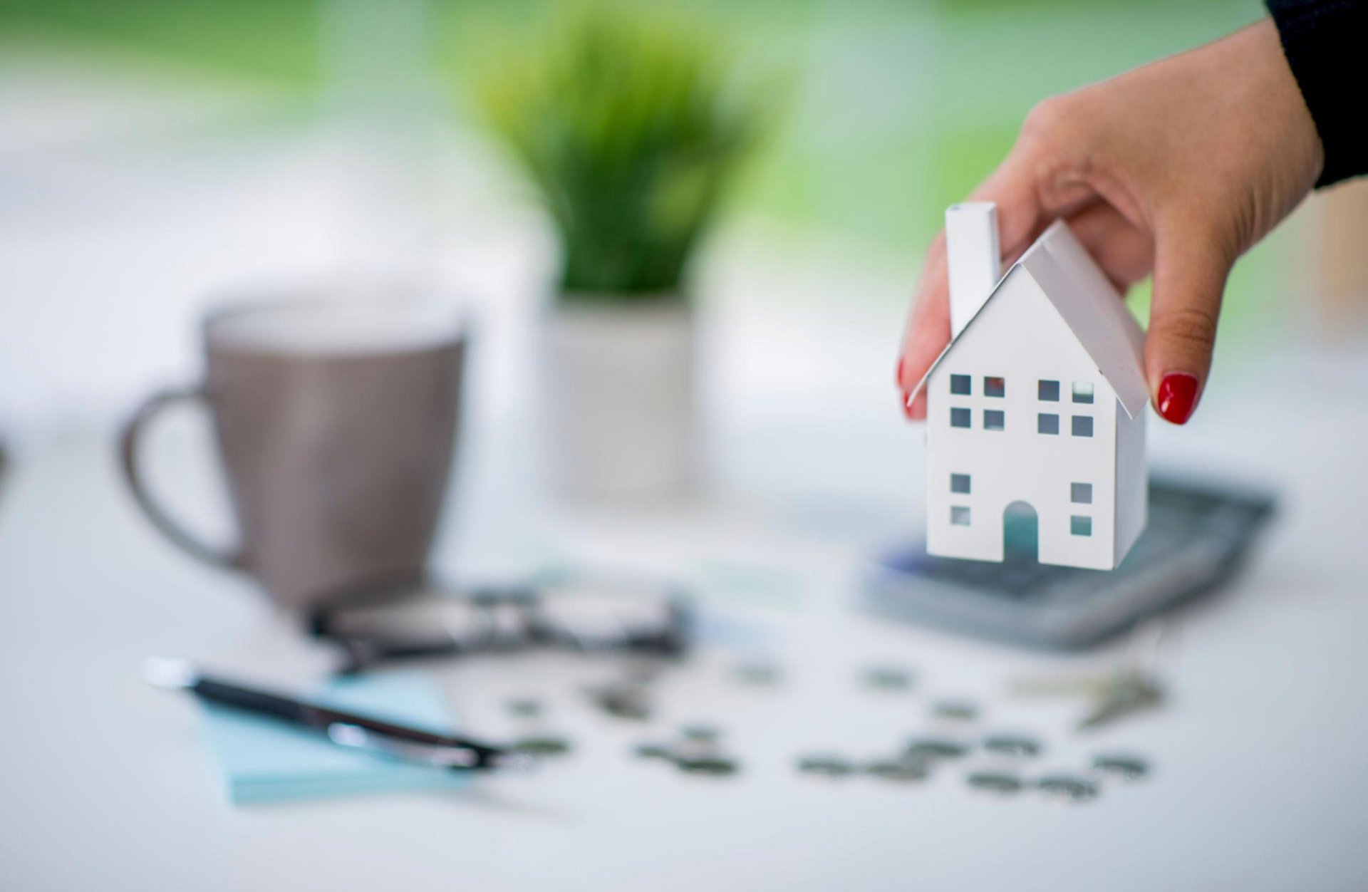 black and white bed linen