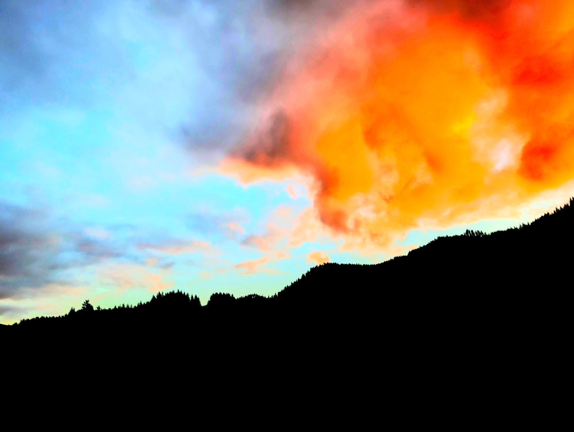 gray computer monitor