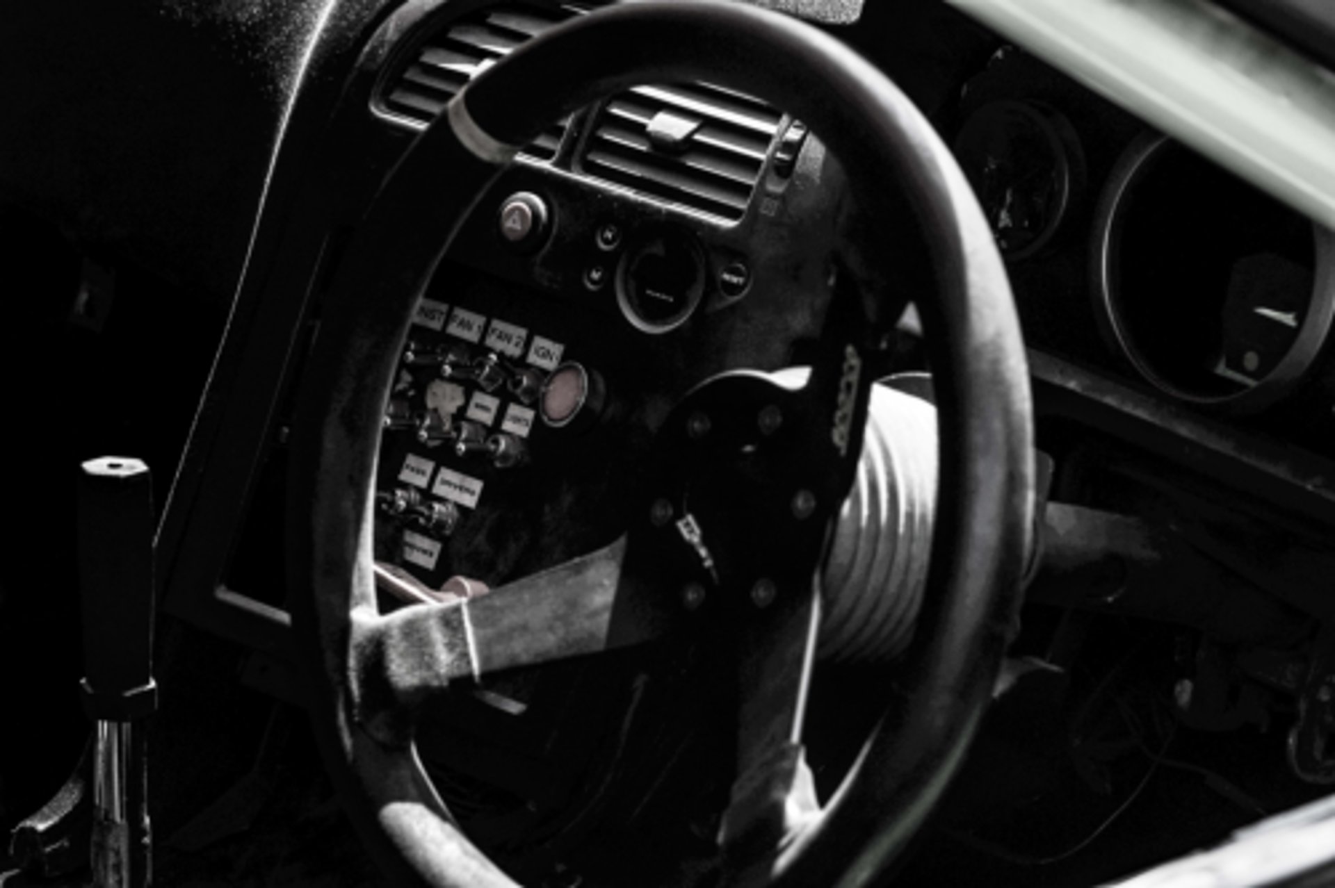 woman holding dried flower