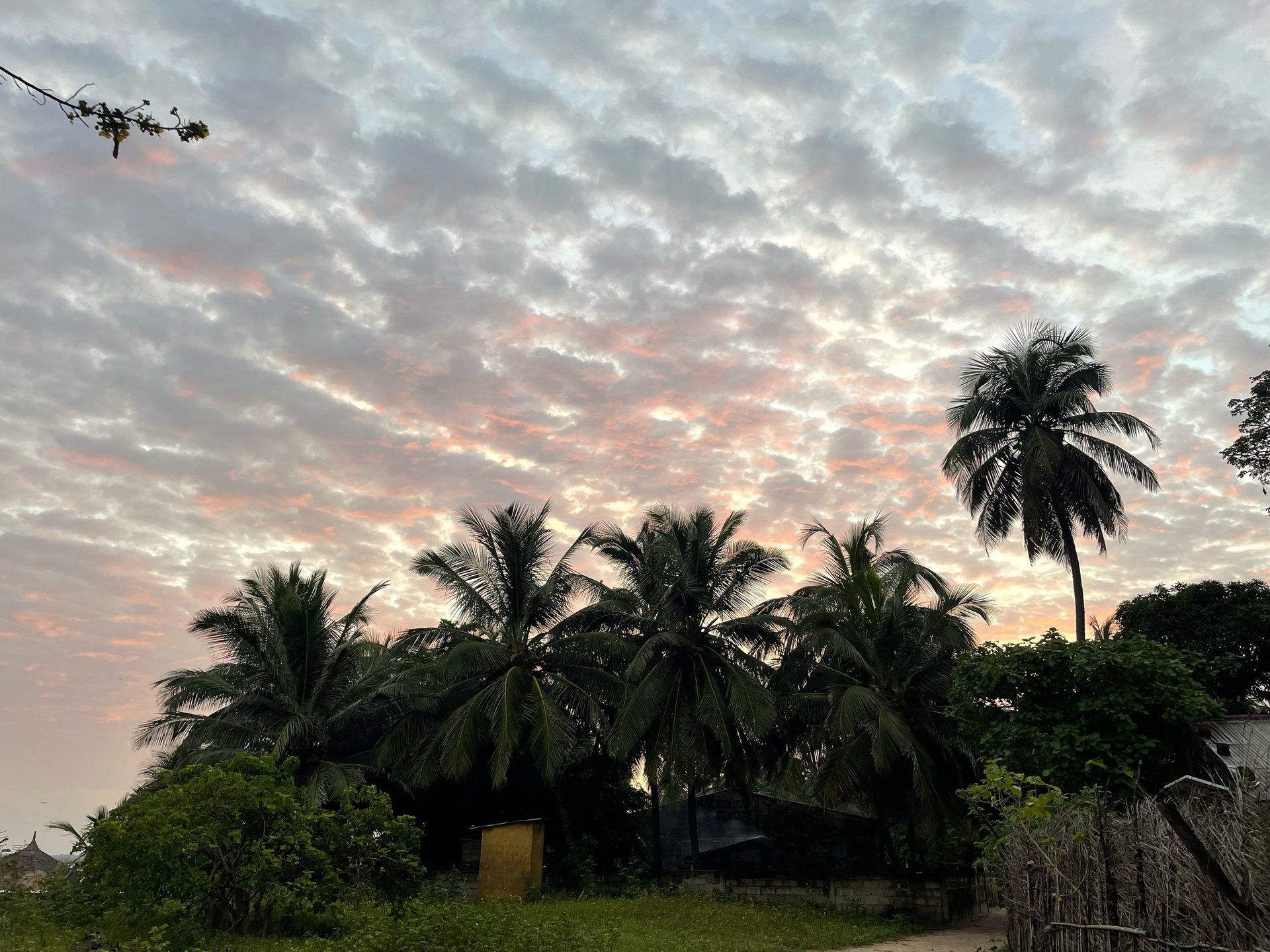 black blue and yellow textile
