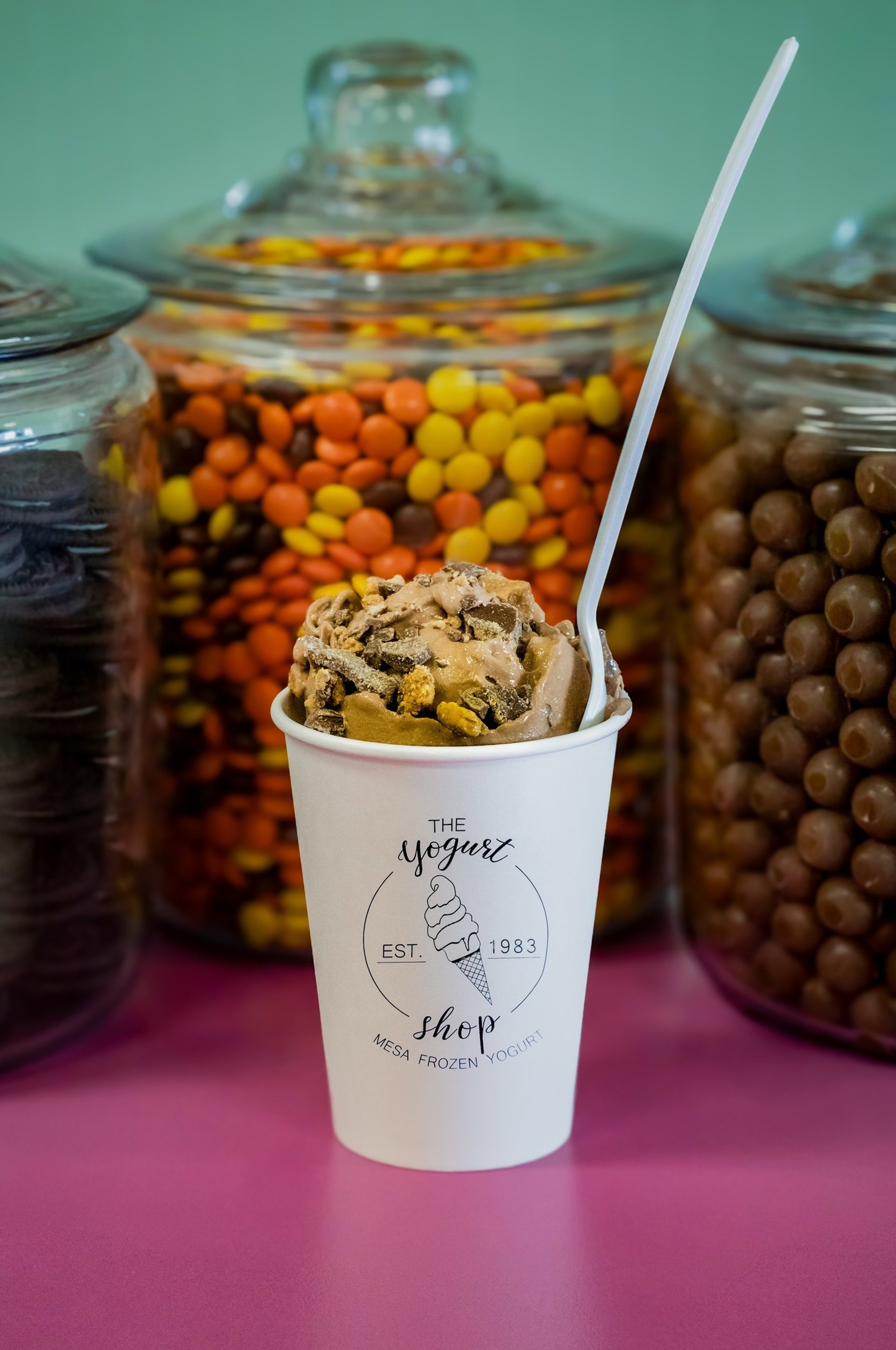 Gourmet frozen yogurt photographed for commercial marketing in Mesa, Arizona.