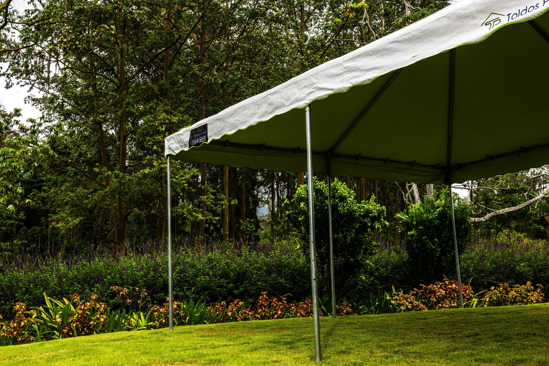 woman wearing yellow long-sleeved dress under white clouds and blue sky during daytime
