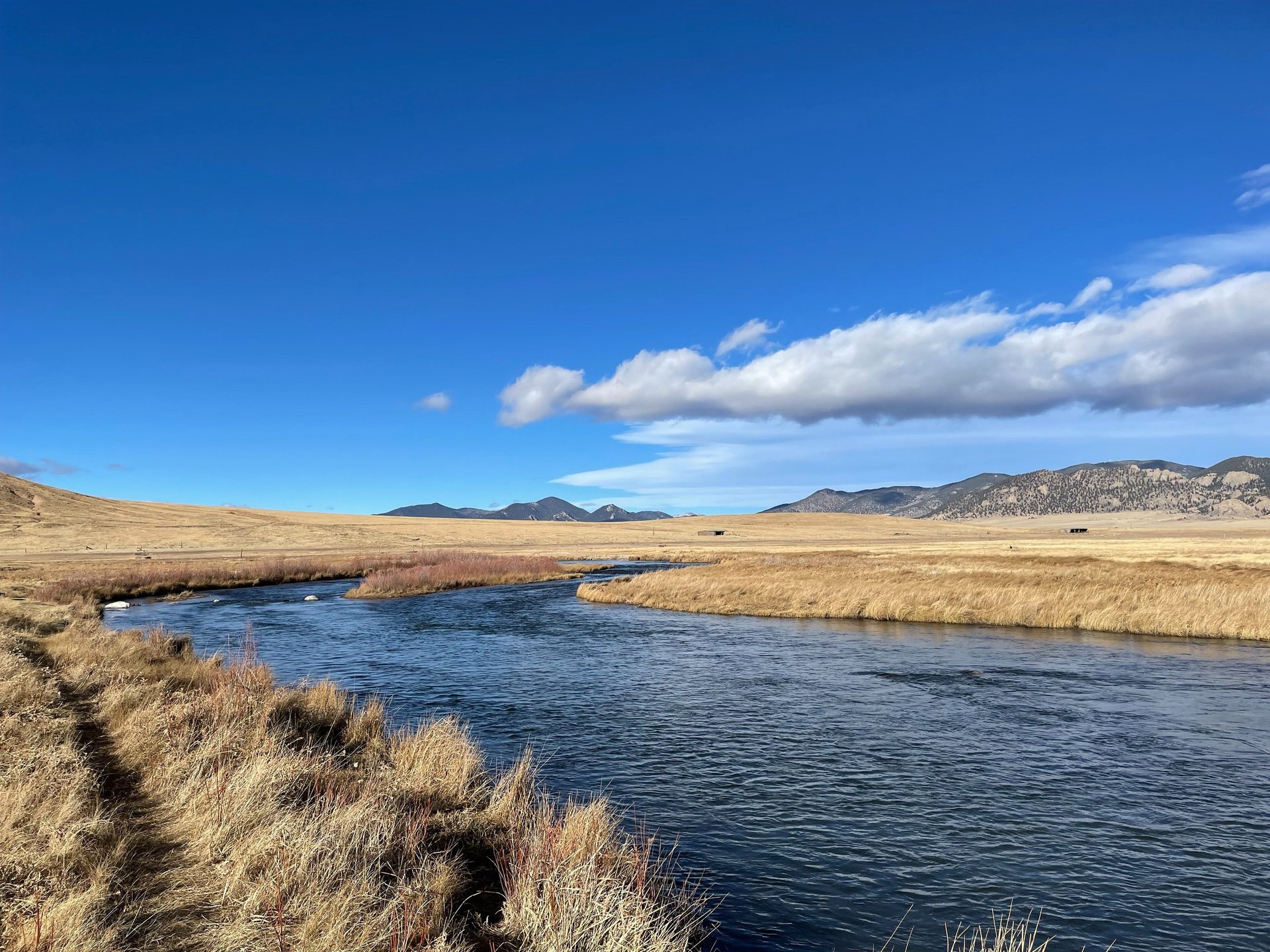 gray computer monitor