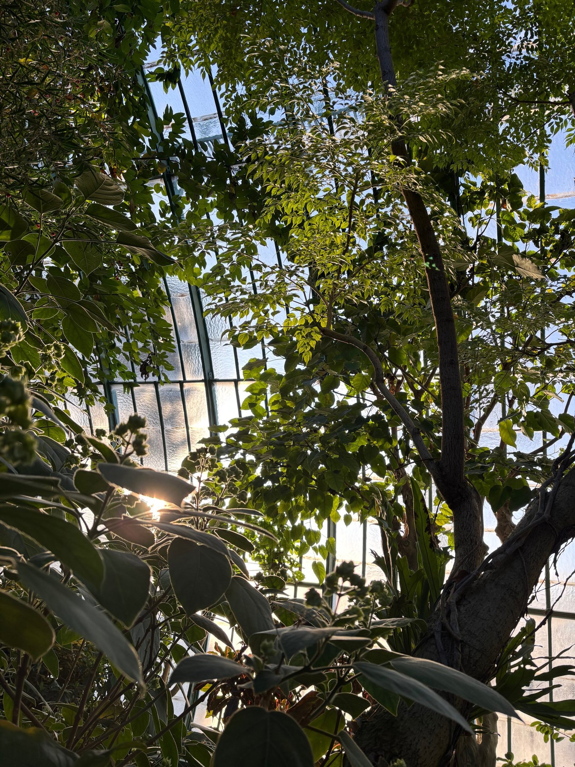 A building with a bunch of plants growing on the side of it