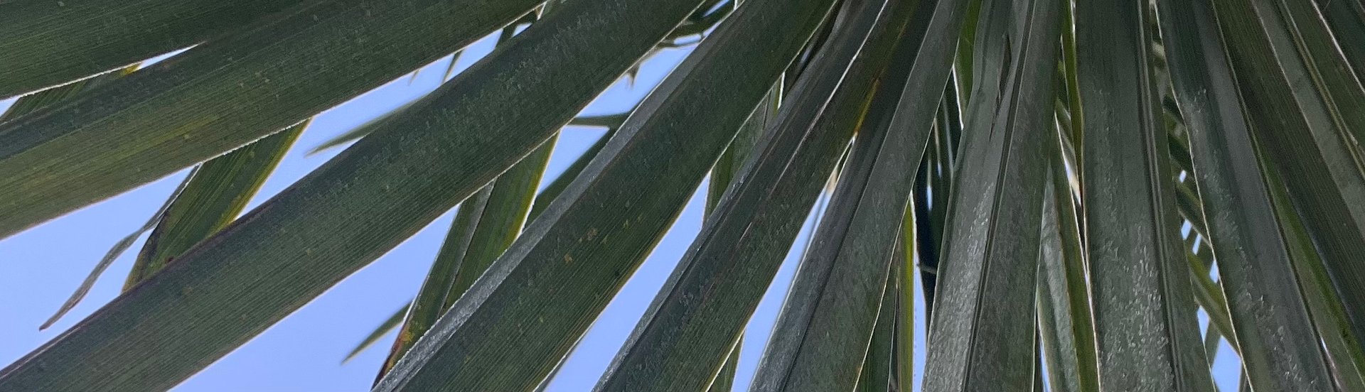 A building with a bunch of plants growing on the side of it