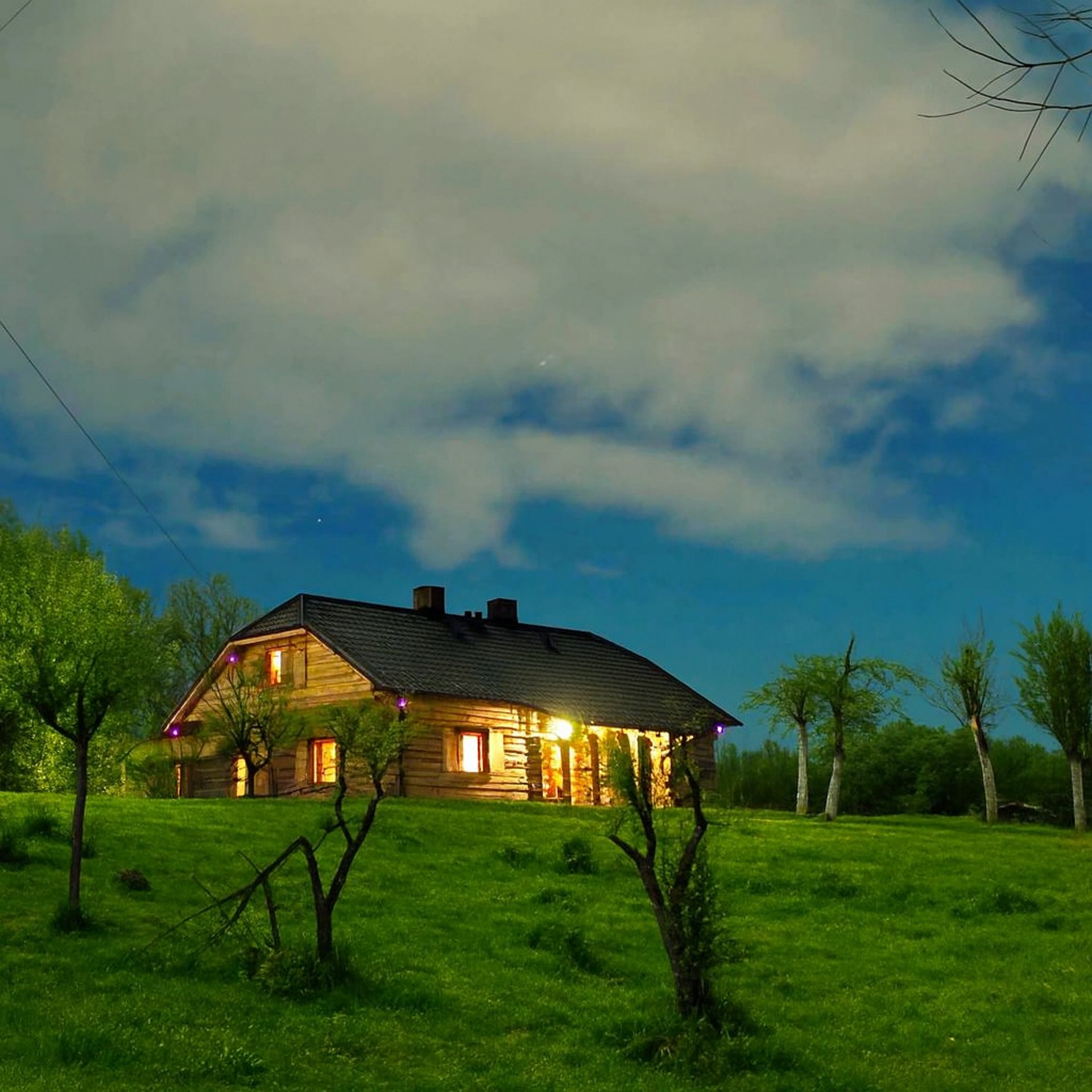 Large tree with log seats and outdoor tables
