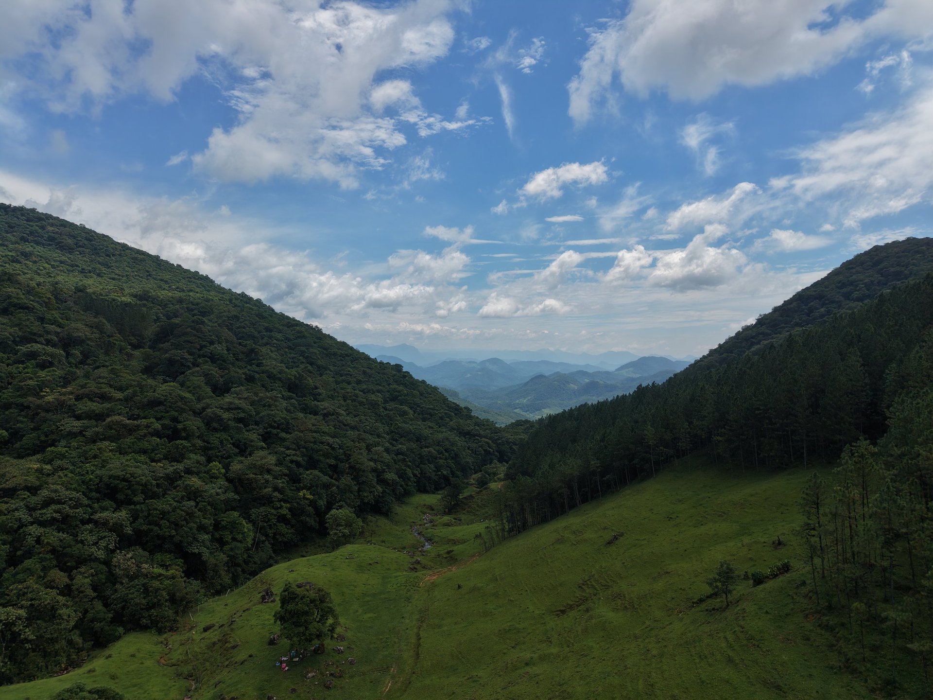an abstract photo of a curved building with a blue sky in the background