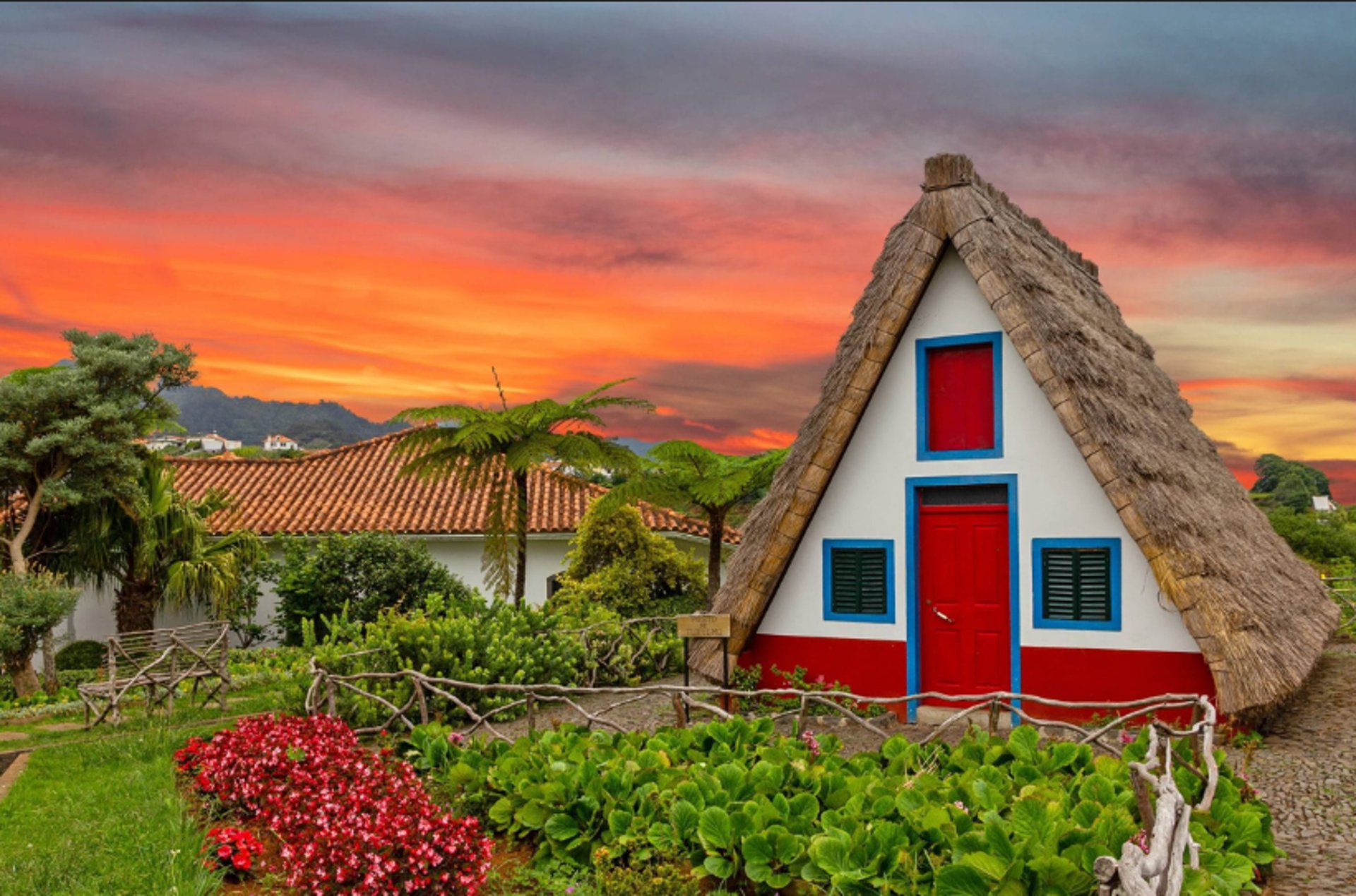 woman holding dried flower