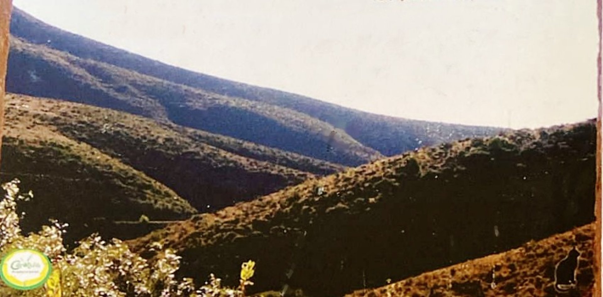 gray computer monitor