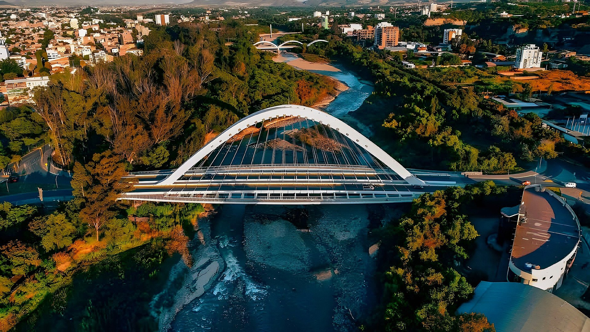 A bunch of grapes hanging from a vine