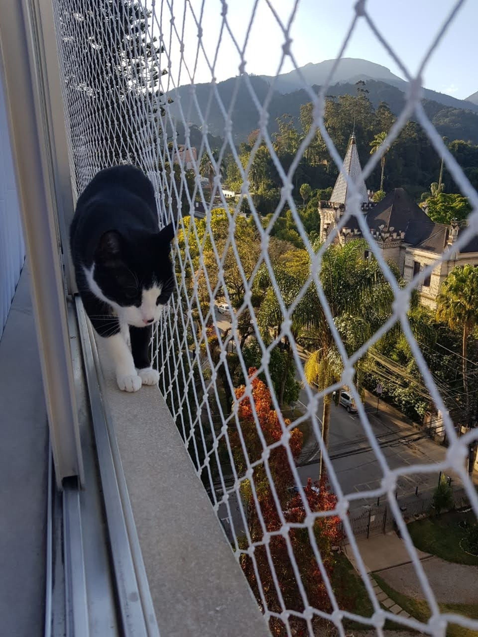 black and brown leather padded tub sofa