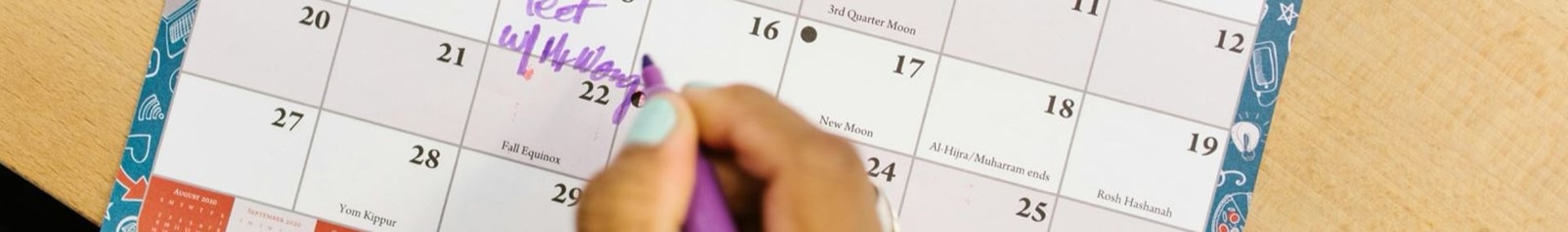 white flowers with green leaves