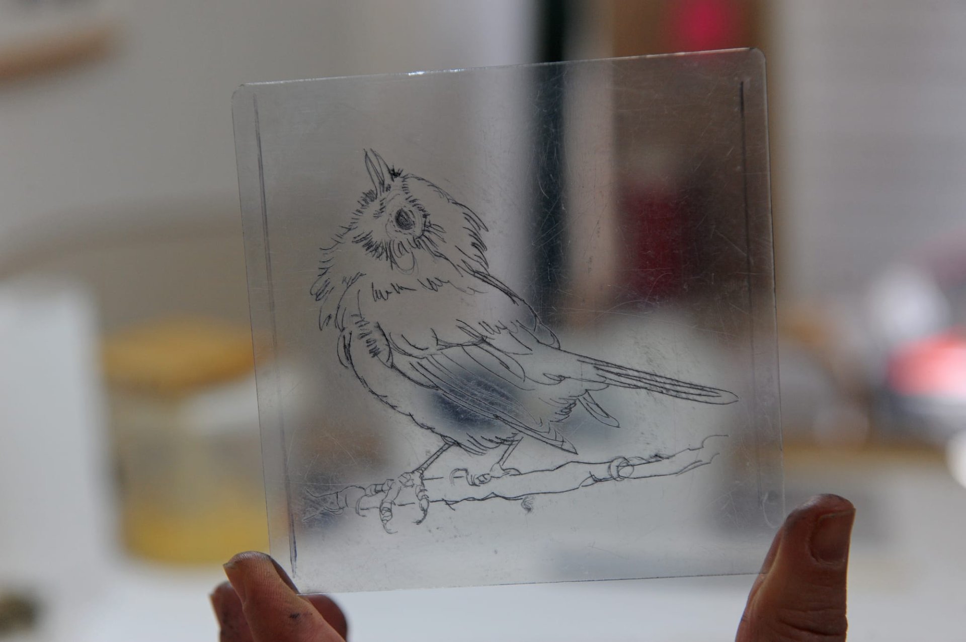 Matrice in plexiglass per incisione a puntasecca di un pettirosso
