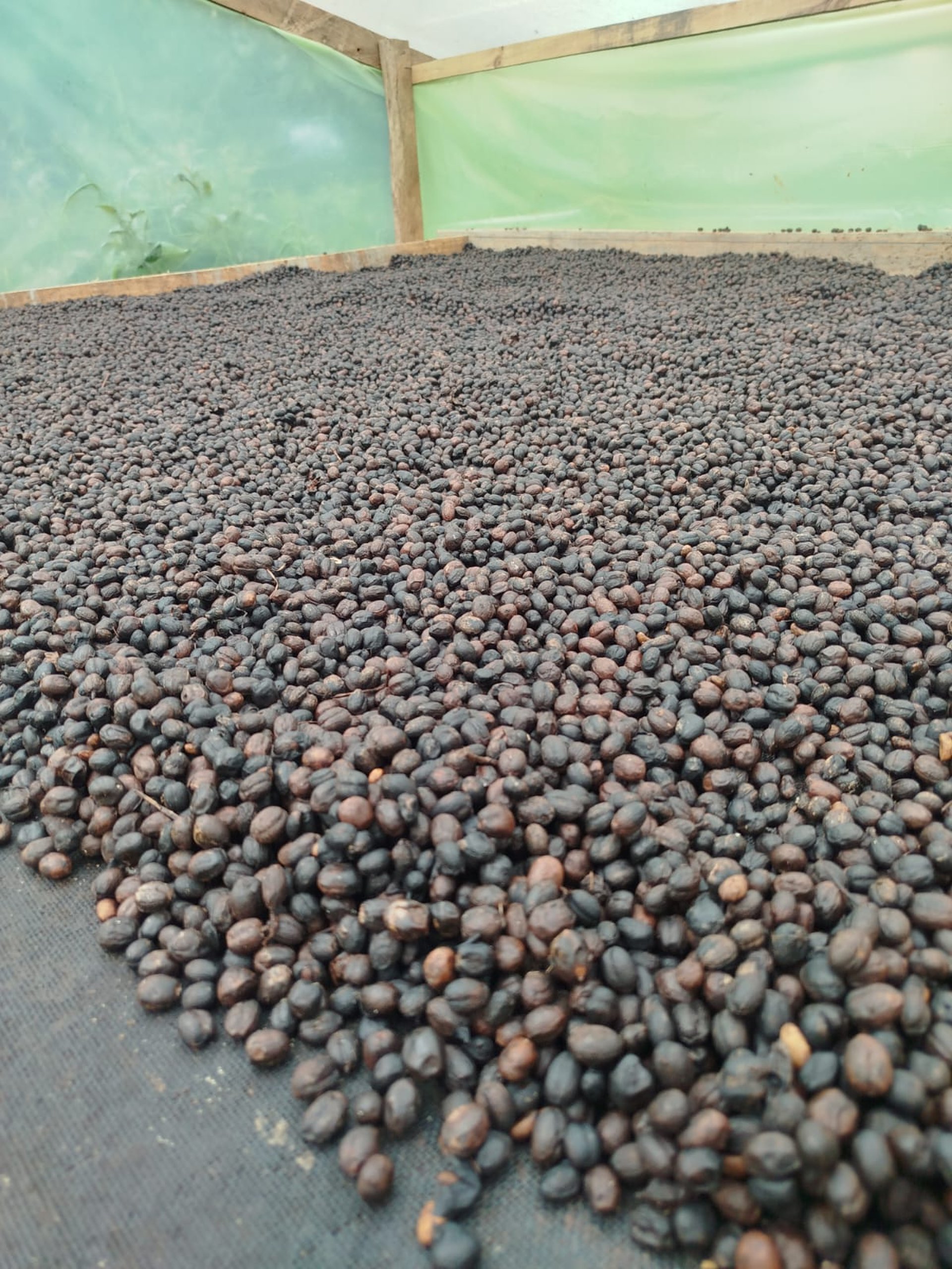 black blue and yellow textile