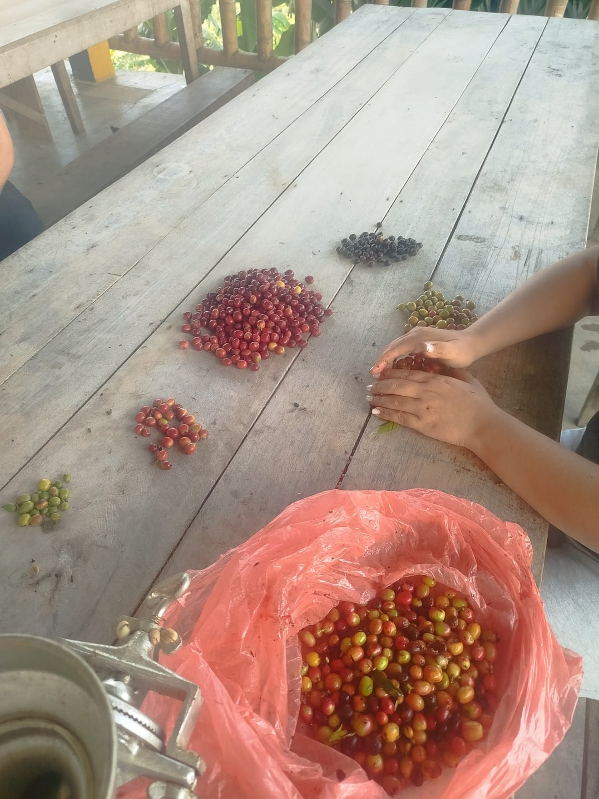 black blue and yellow textile