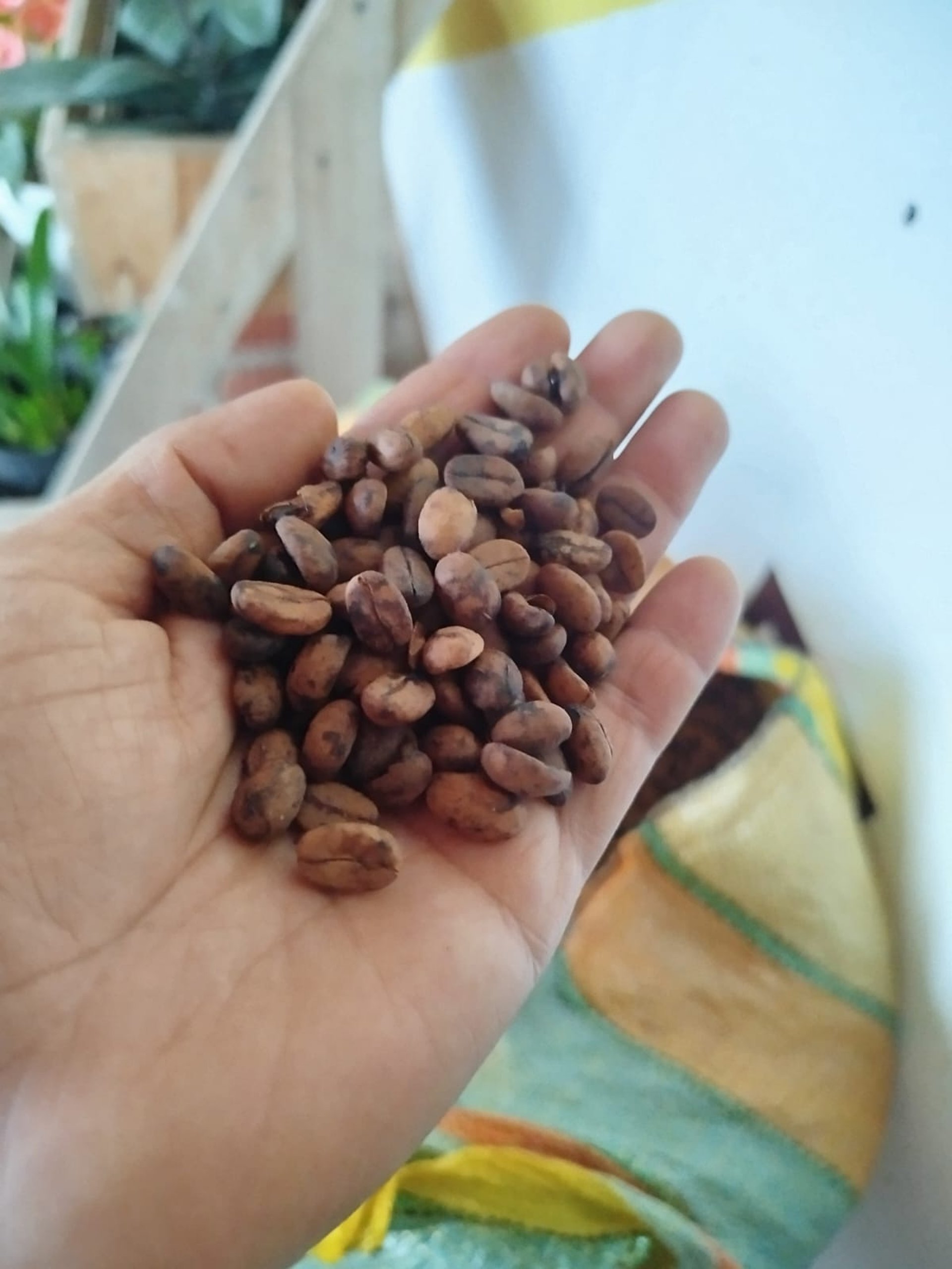 black blue and yellow textile