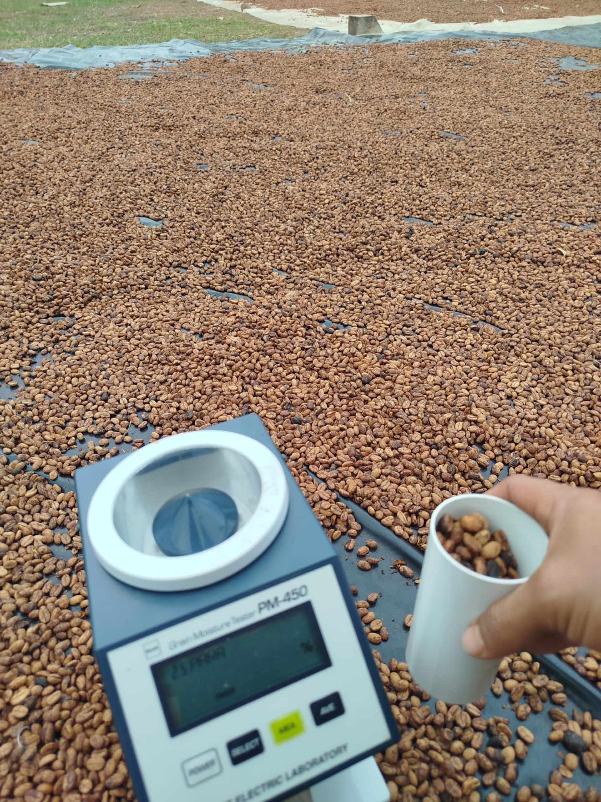 black blue and yellow textile