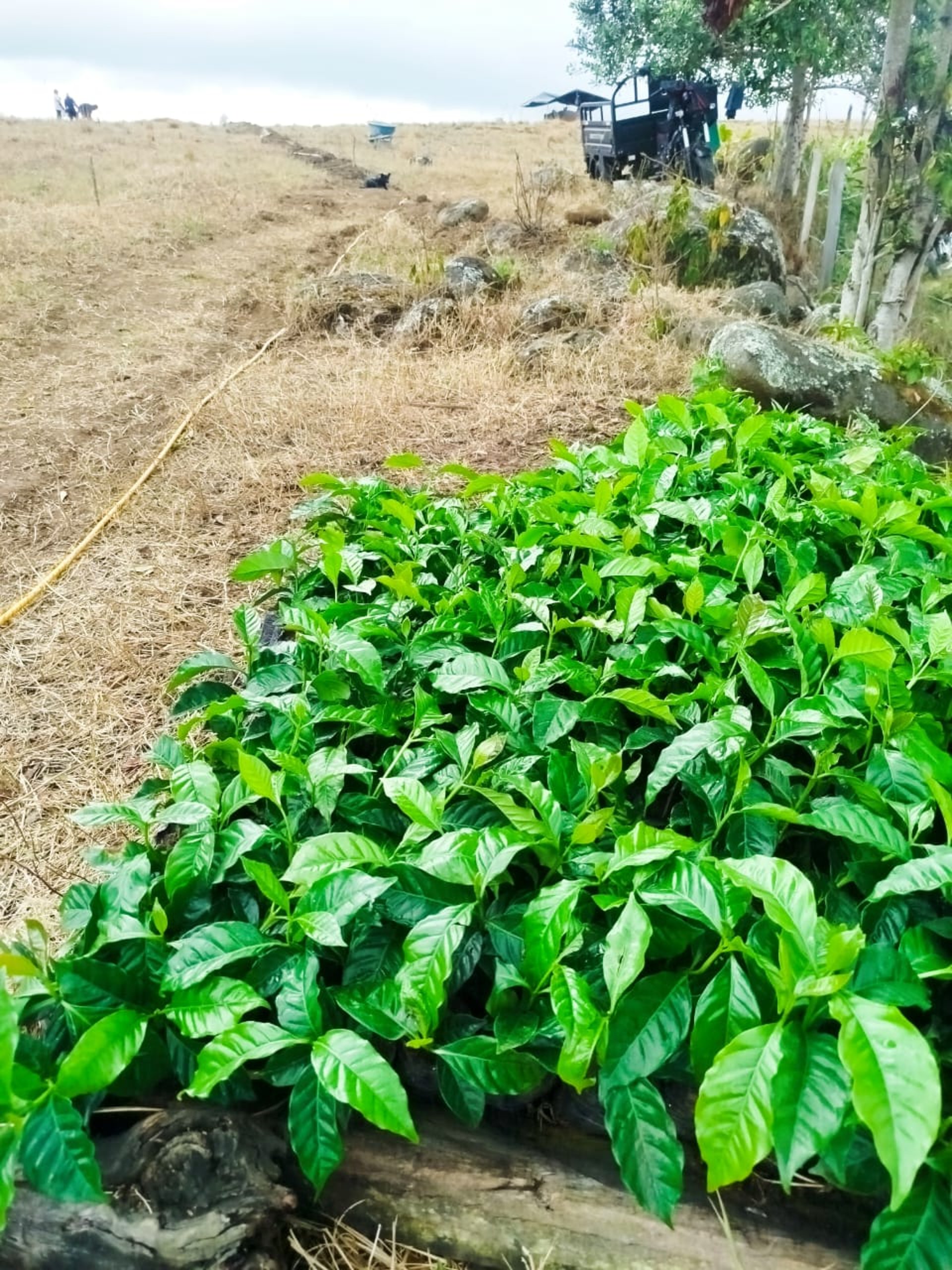 an abstract photo of a curved building with a blue sky in the background